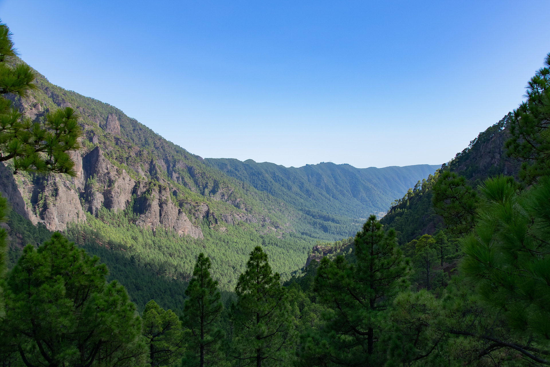 岗山国家森林公园,隐藏在辽宁省抚顺市新宾县的深山之中,是一座集自然