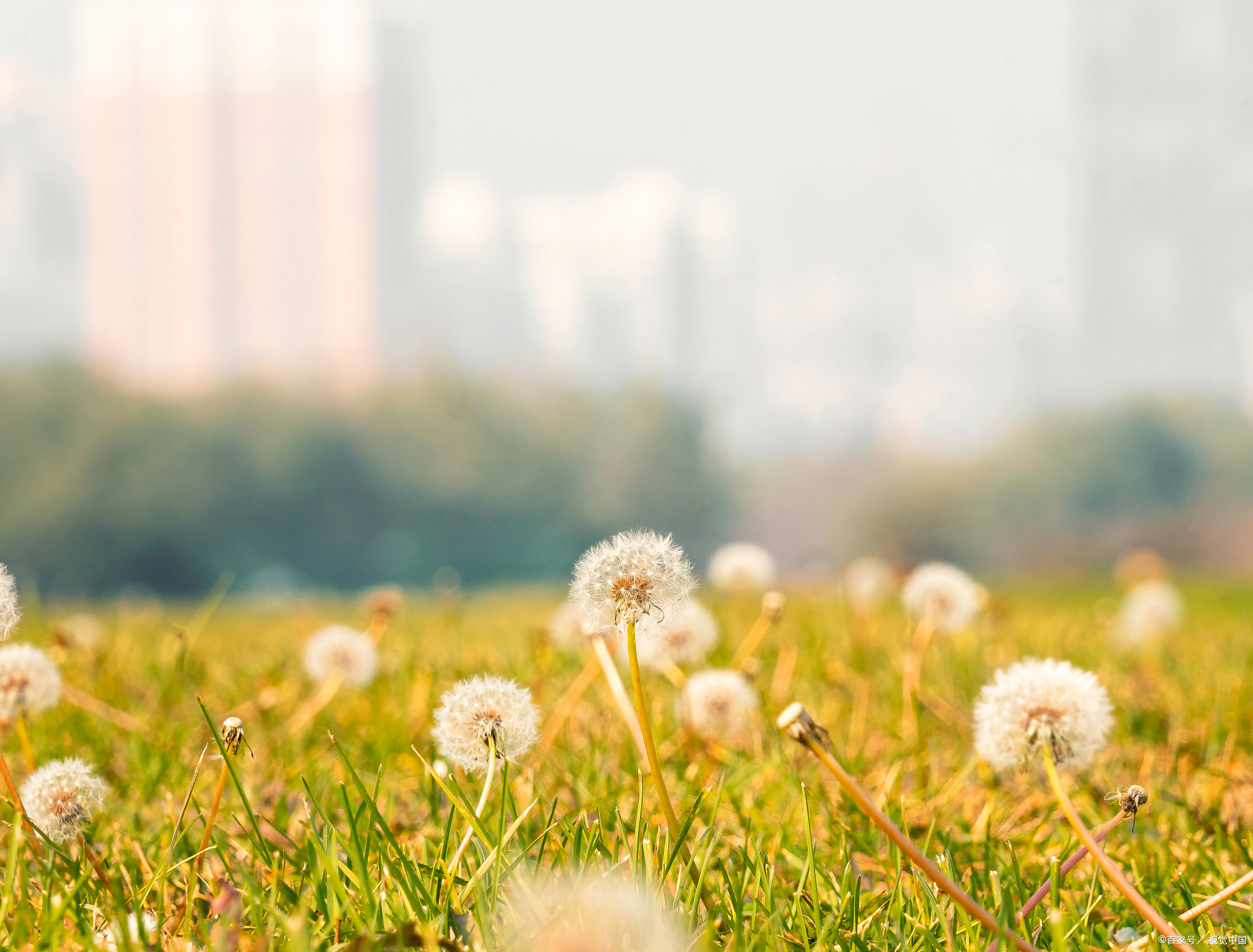 心动的征兆:如何判断一个人已被爱情俘虏