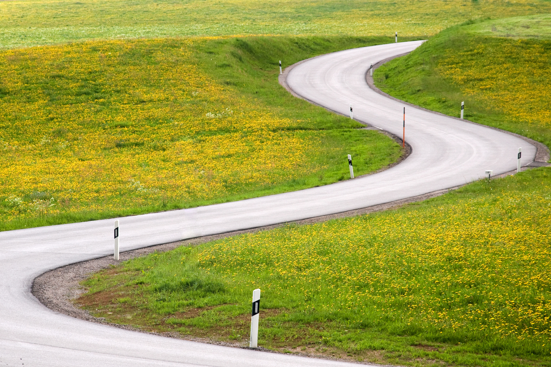 人生是多样化的,有许多不同的选择和机会