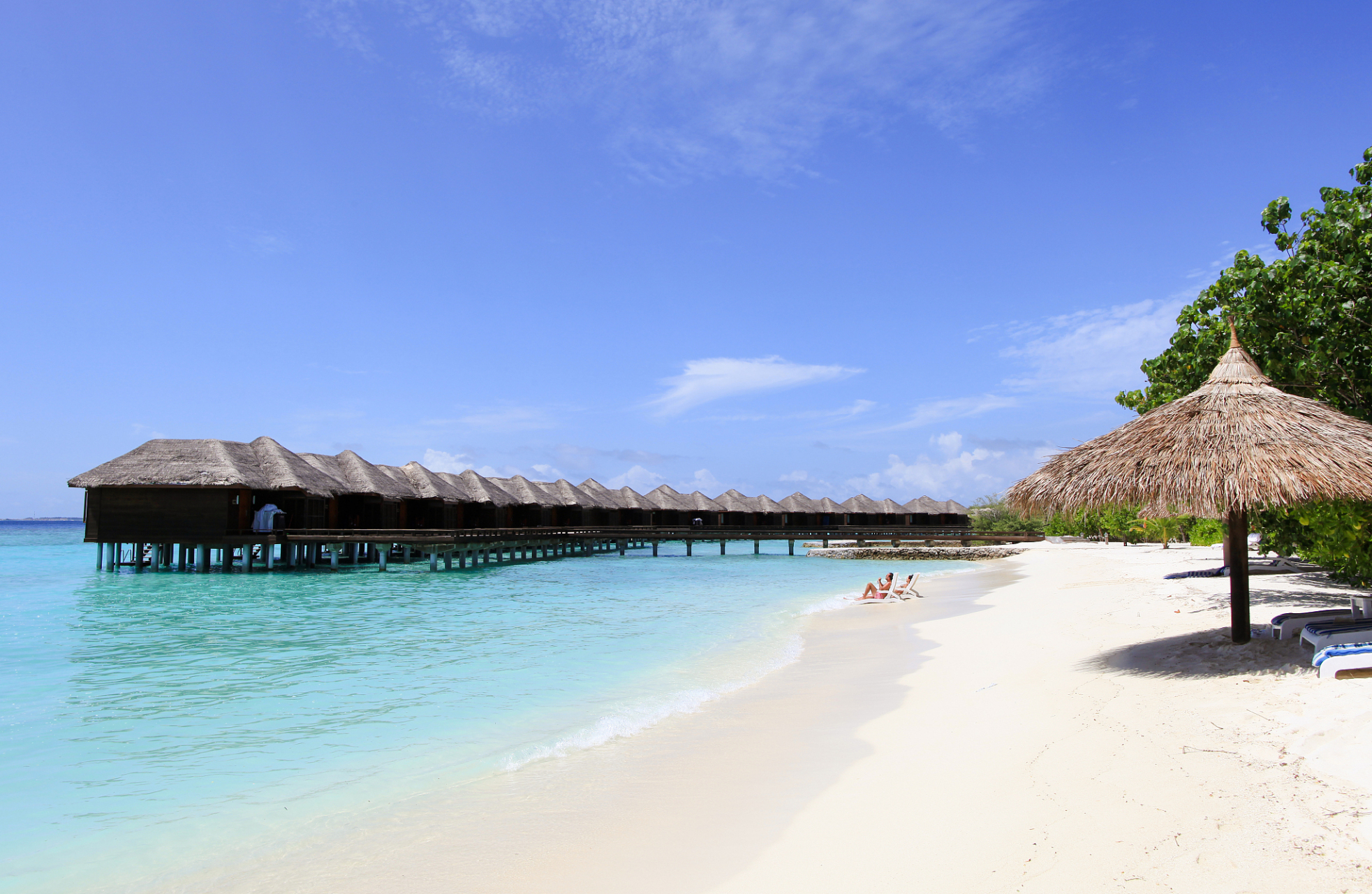 冬日冰雪漫游季# 海龟岛是马尔代夫岛屿,大约离马列国际机场146公里