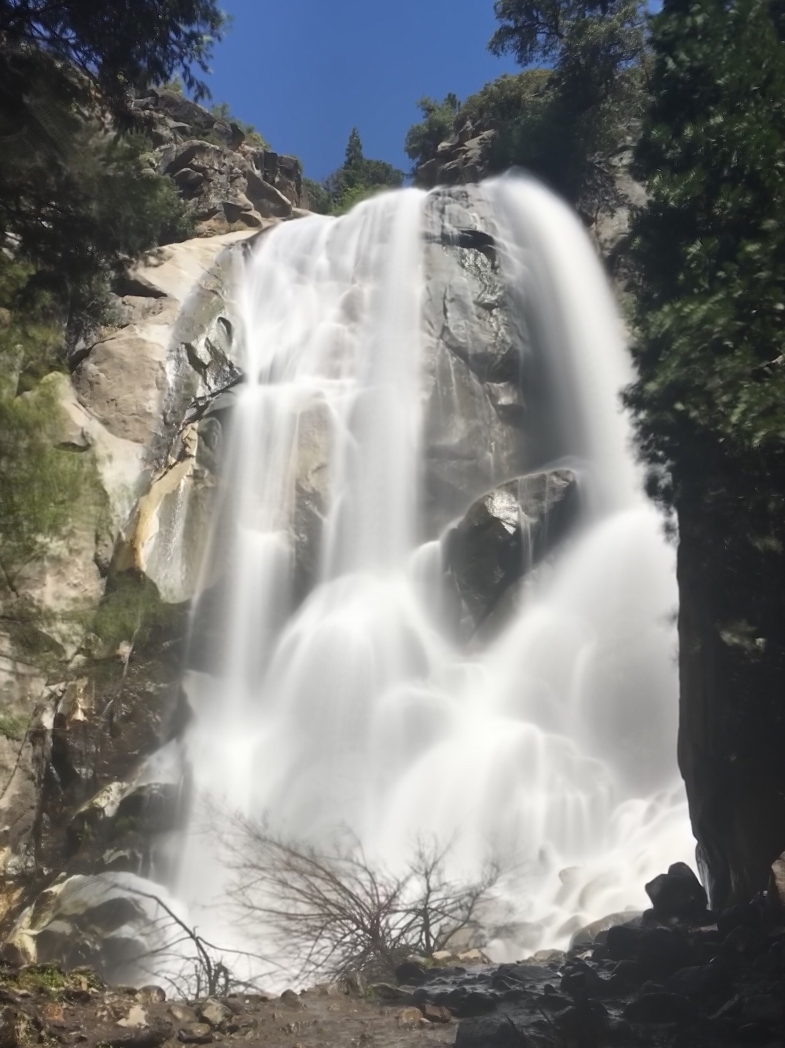 庐山夏天的景色图片