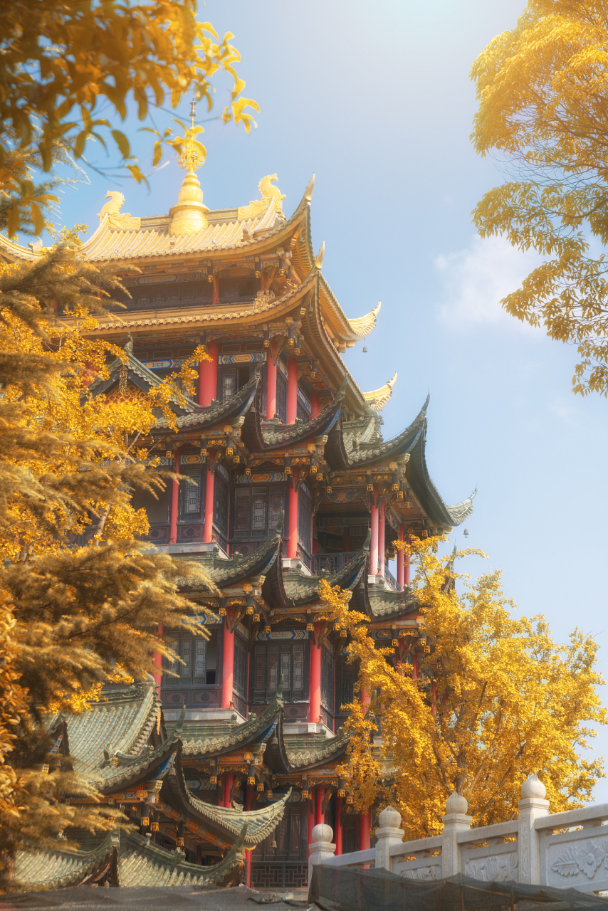 昭觉寺位于成都市郊,是四川省最大的佛教寺庙之一.