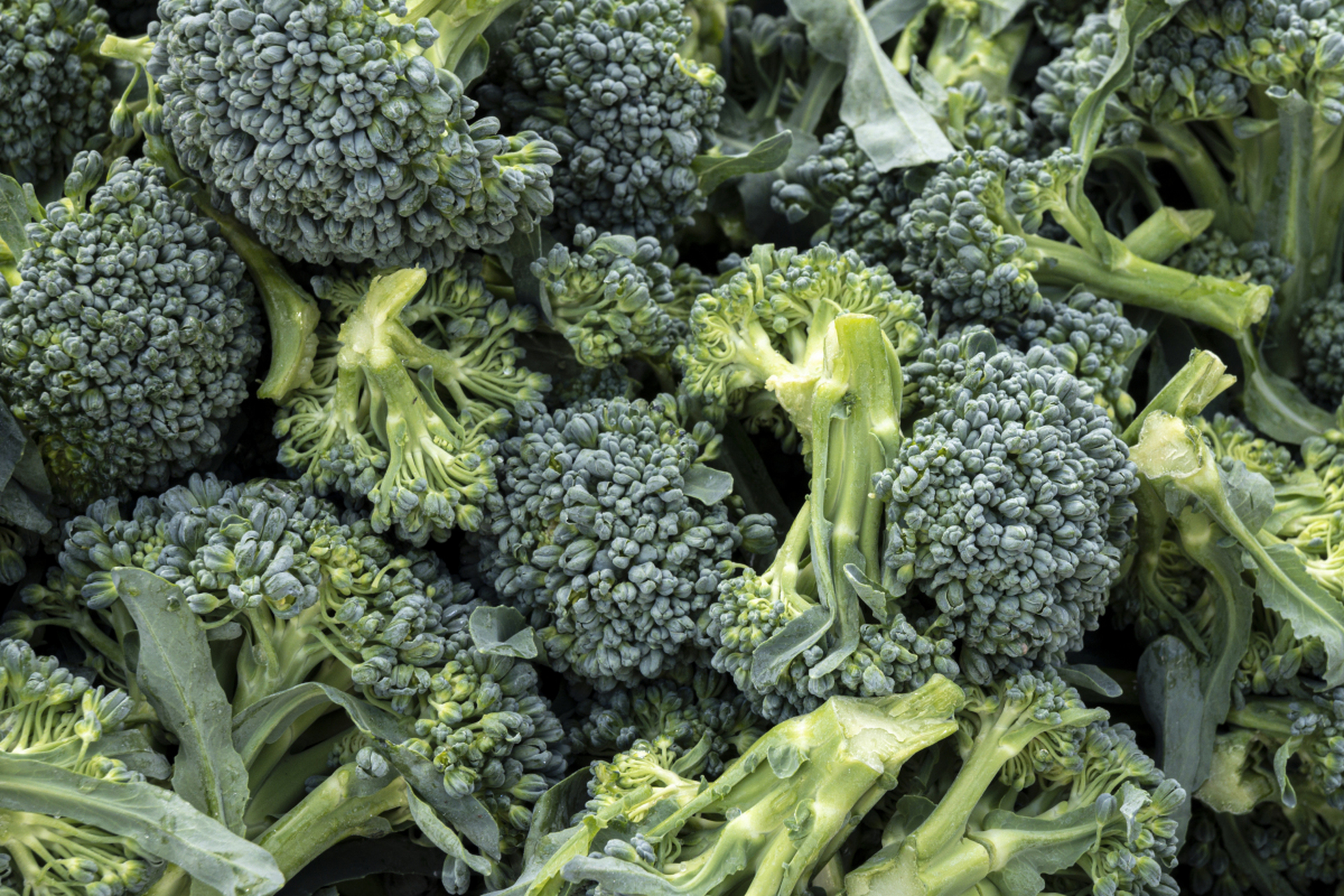 西兰花真的能抗癌吗?