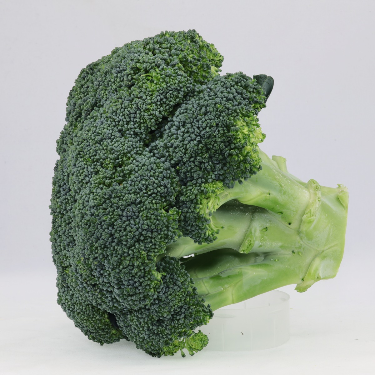 什么是花椰菜图片