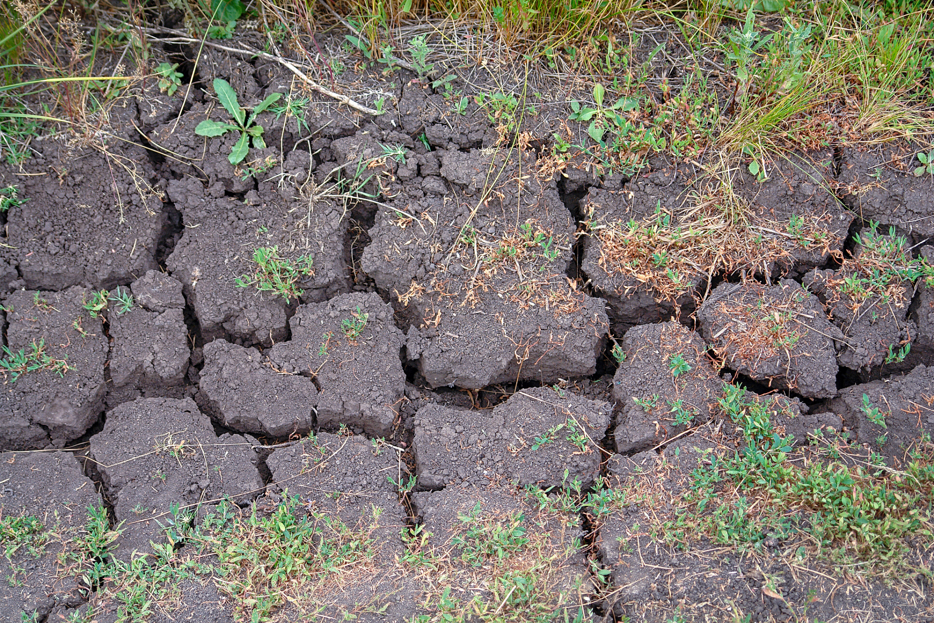 为保护土地健康,需合理使用化肥并加强土壤监测和治理.[原文:化肥
