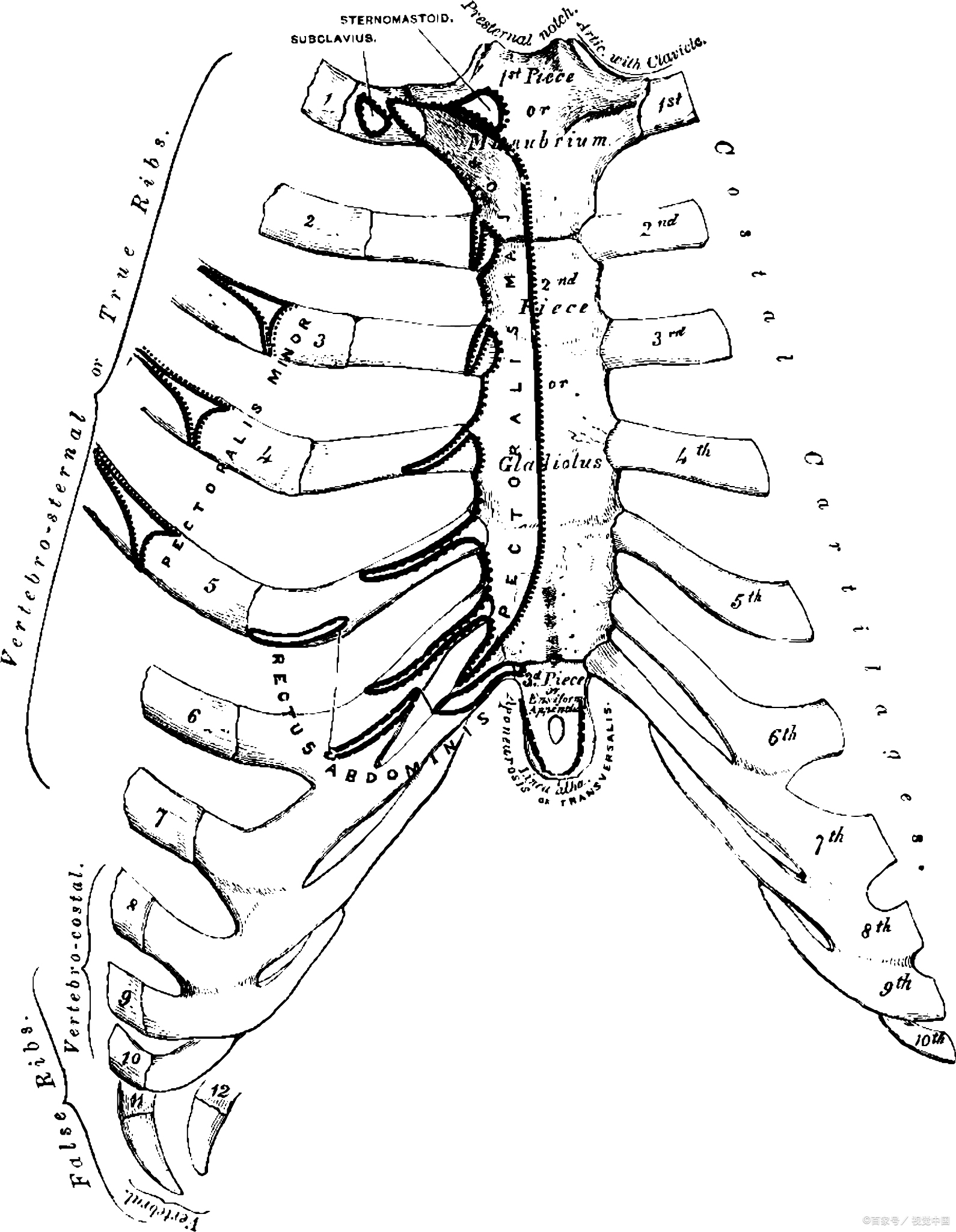 健康经验笔记# 嘿,各位小伙伴们,今天咱们来聊聊一个听起来有点"高