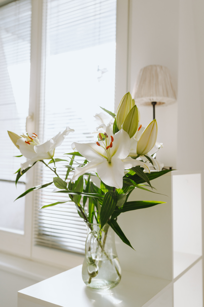[微风]  百合花是受欢迎的花艺材料,插花时需选高稳固花瓶,剪短花茎