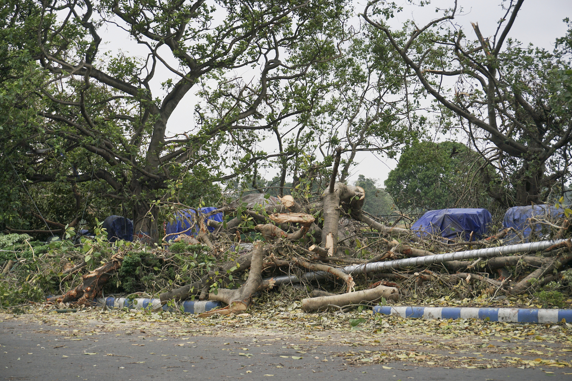 台风杜苏芮已造成福建72万人受灾# 台风"杜苏芮"致福建72万余人受灾