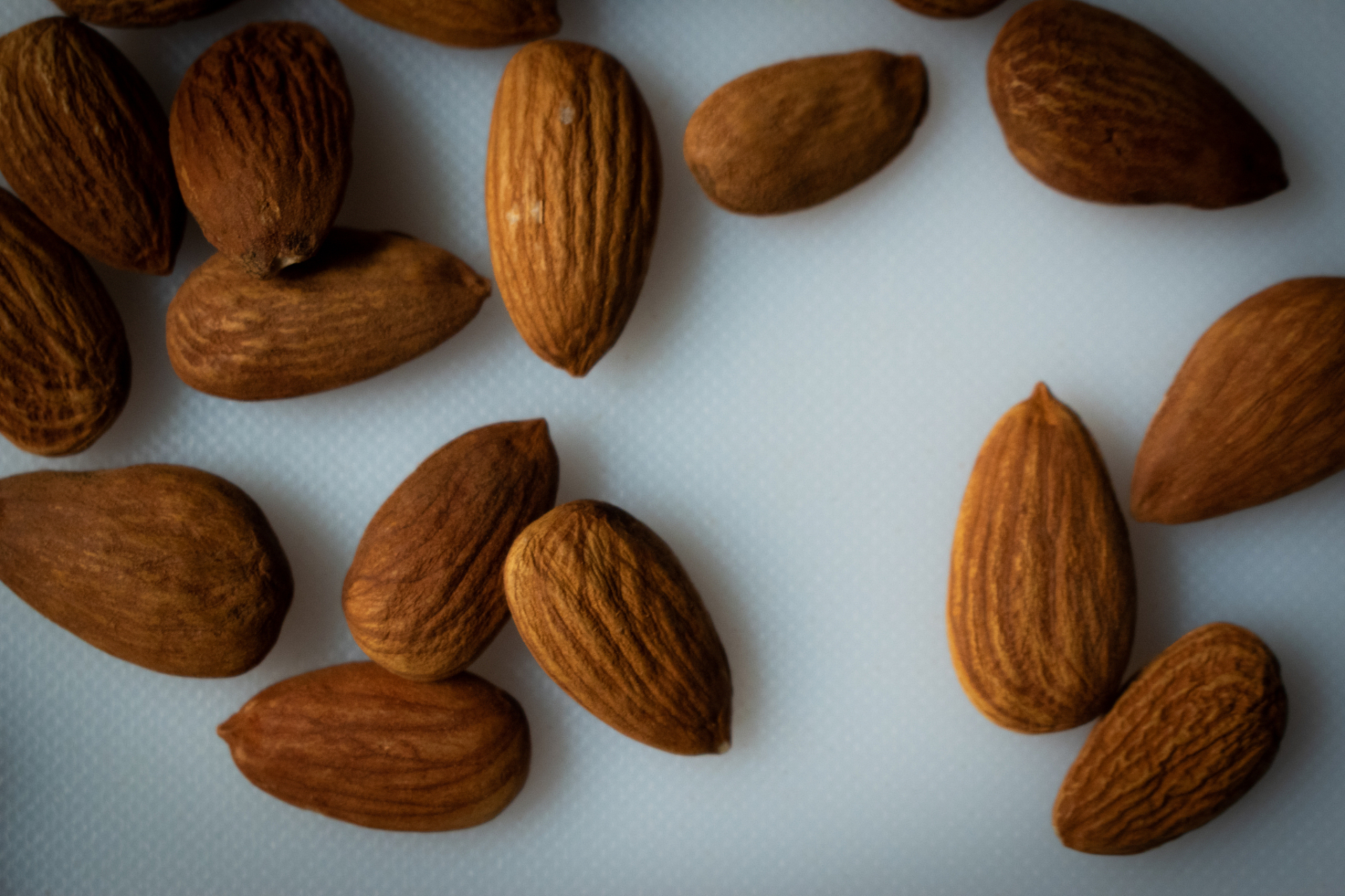 [嘘]  苦杏仁是一种常见的中药材,也是一种食疗保健的食物.