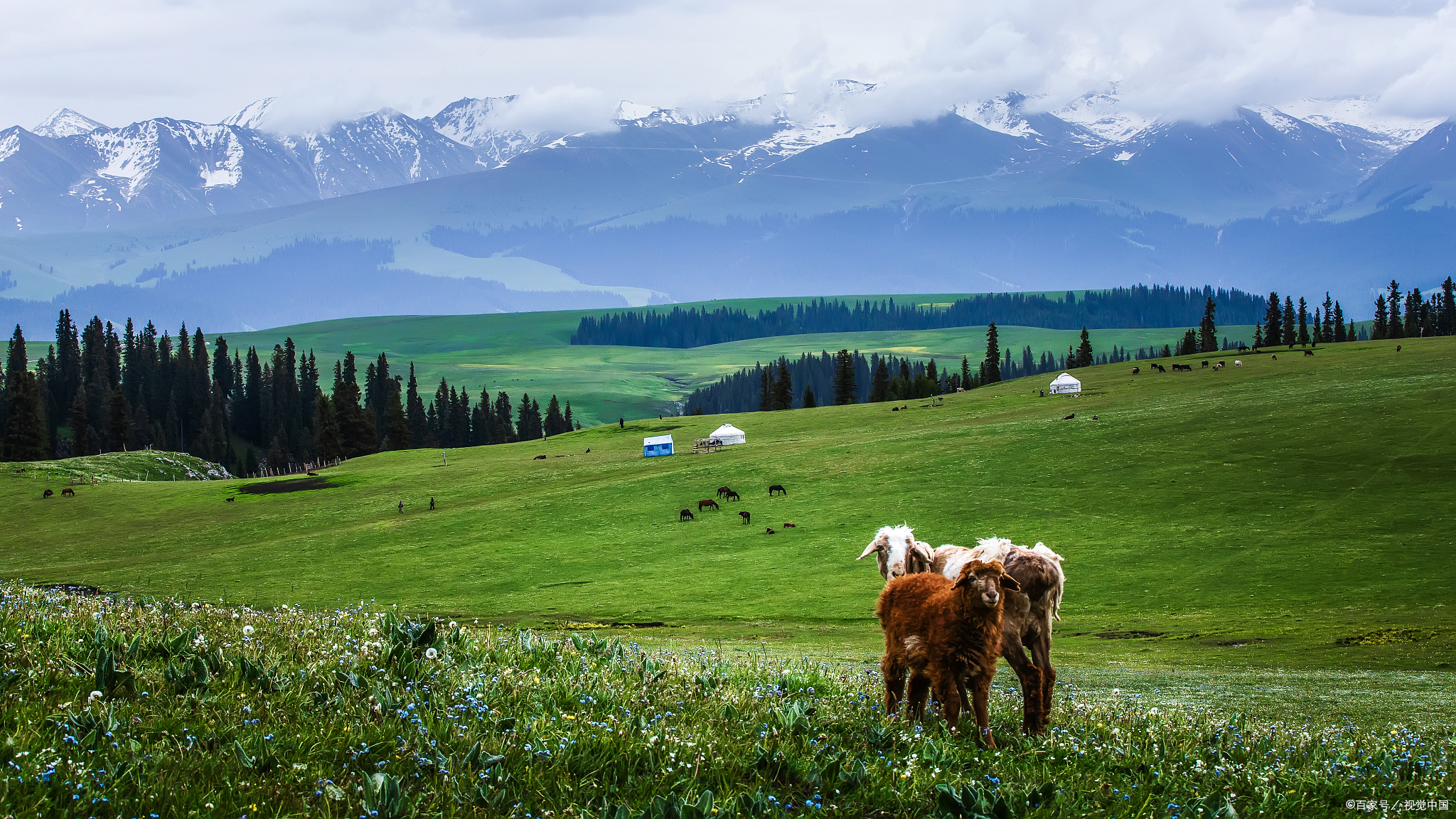 喀拉峻草原景区介绍