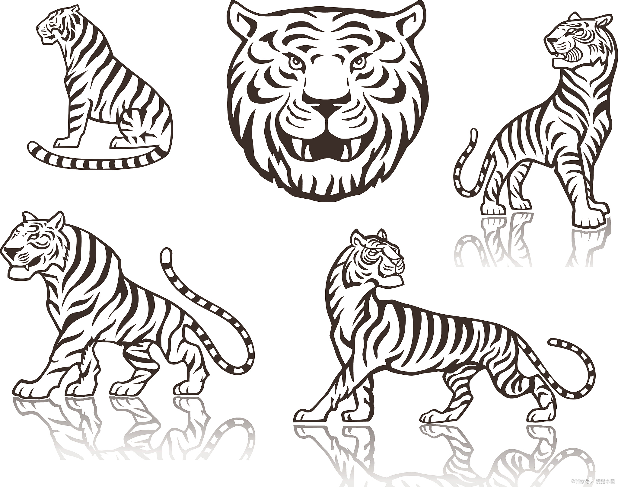 嘿,小伙伴们,是不是对画老虎简笔画既好奇又有点小紧张呢?
