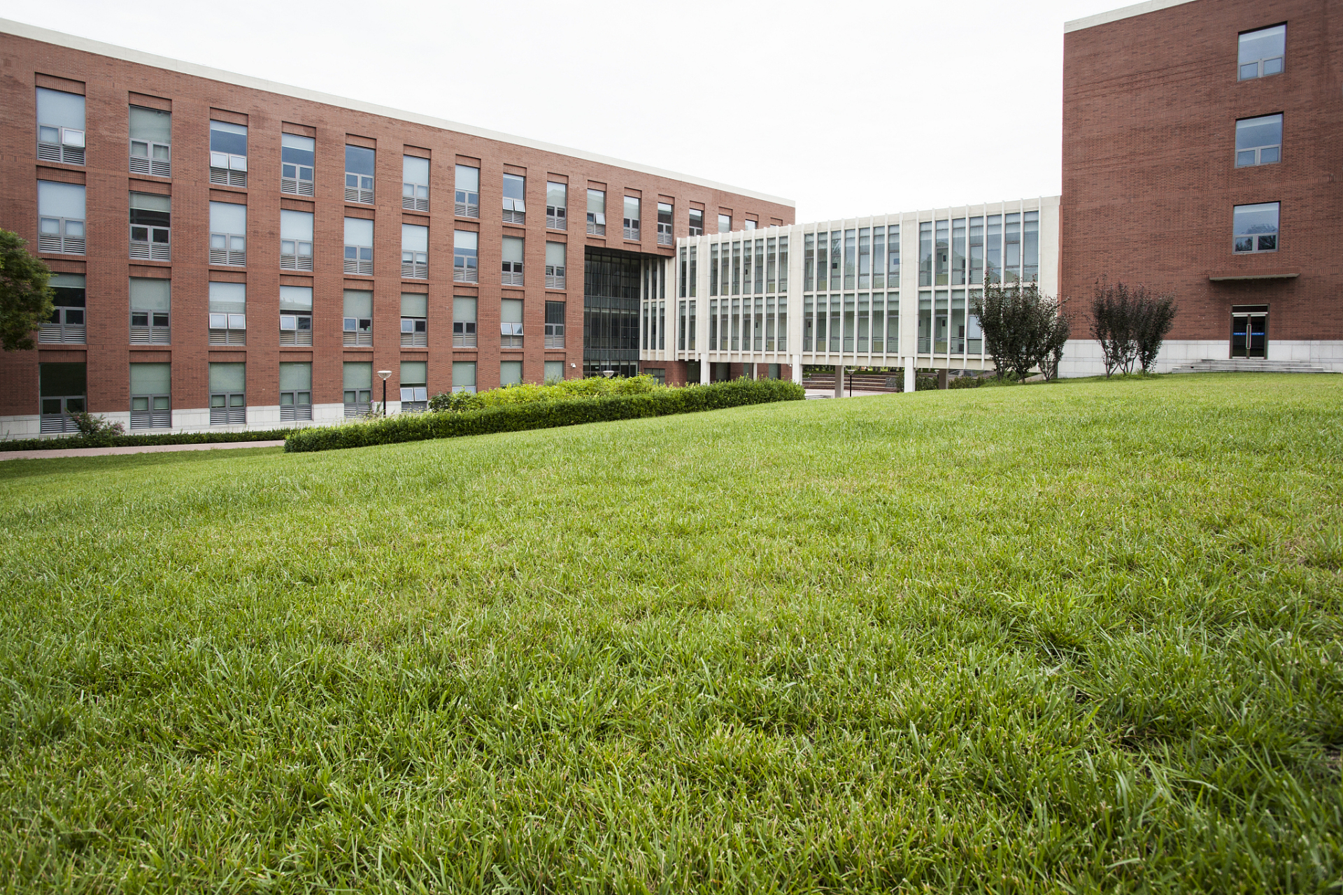 西北农林科技大学被认为是全国最悲惨的985大学,它位于陕西省咸阳市