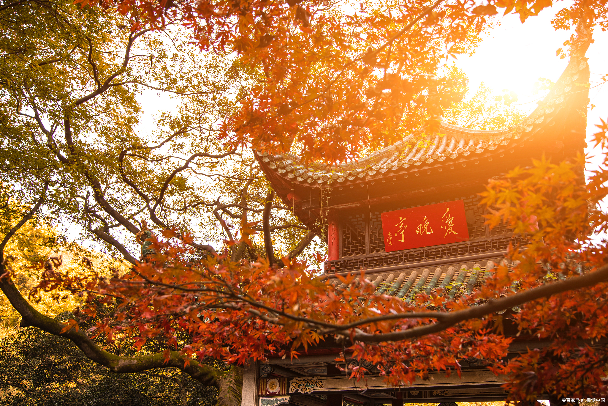 岳麓山,那是一座我们都耳熟能详的山,它不仅是中国文化的象征,更是