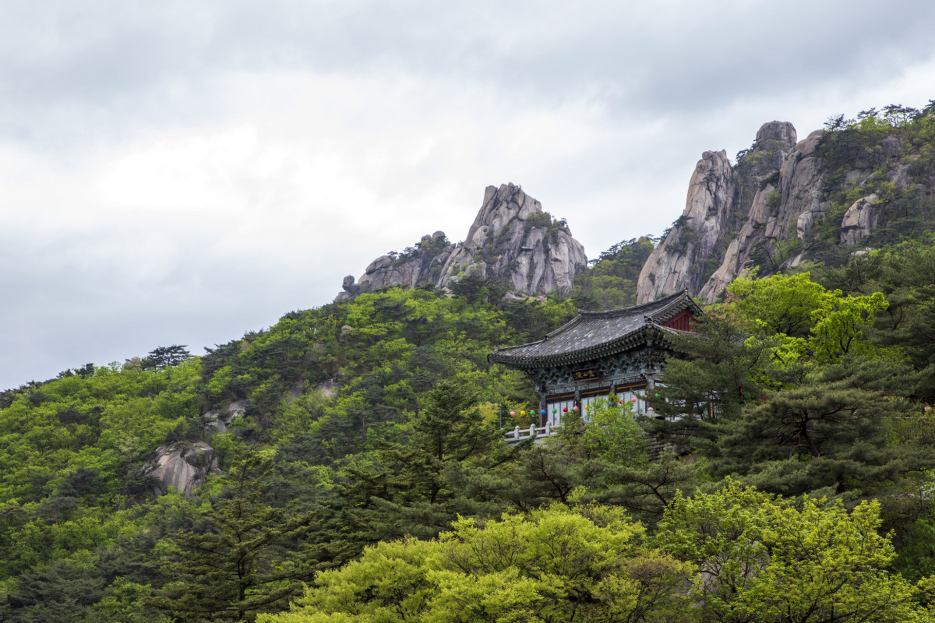 探访五岳之首嵩山,领略壮丽风光与千年文化!