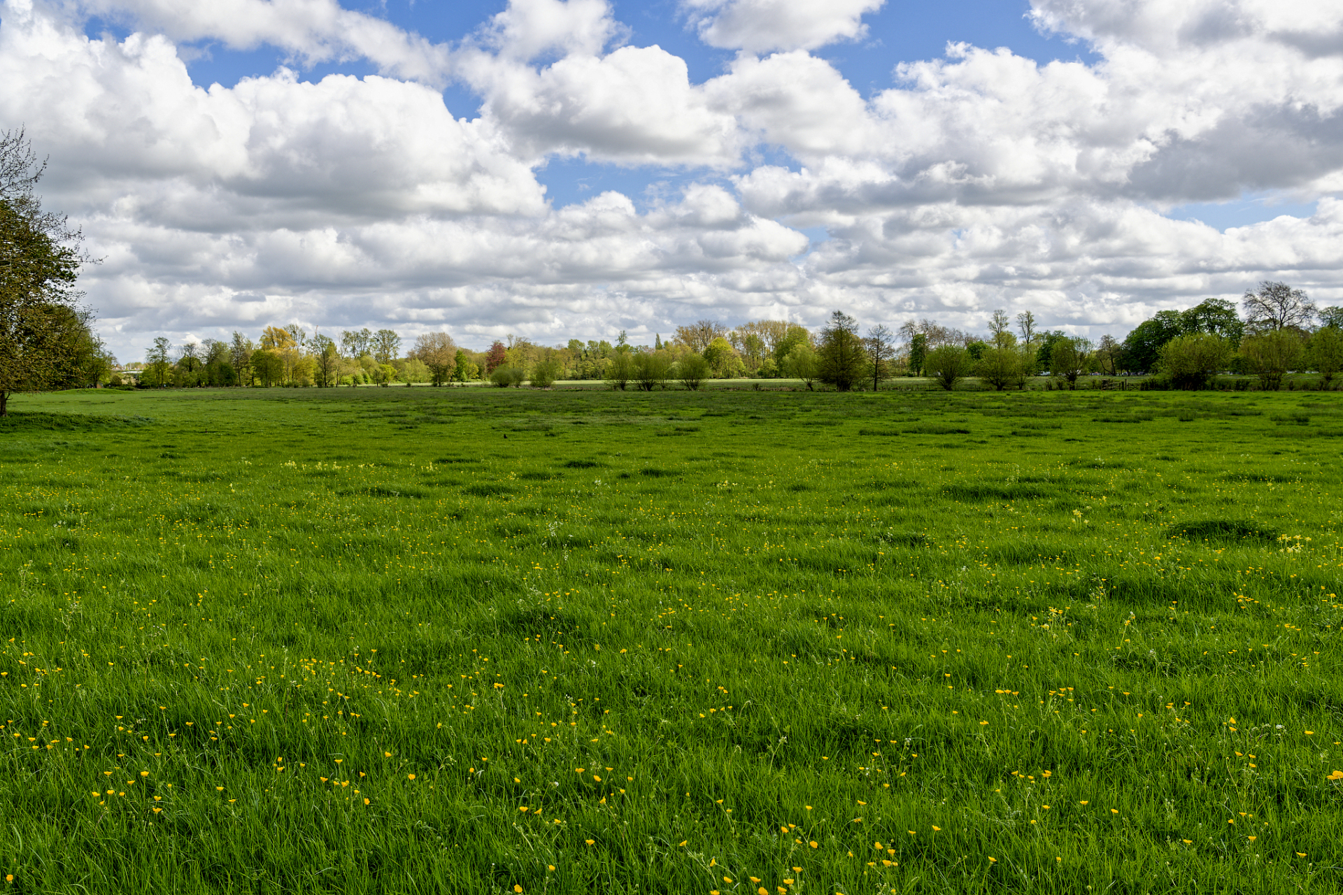 乔治·贝克莱1685年生于爱尔兰.