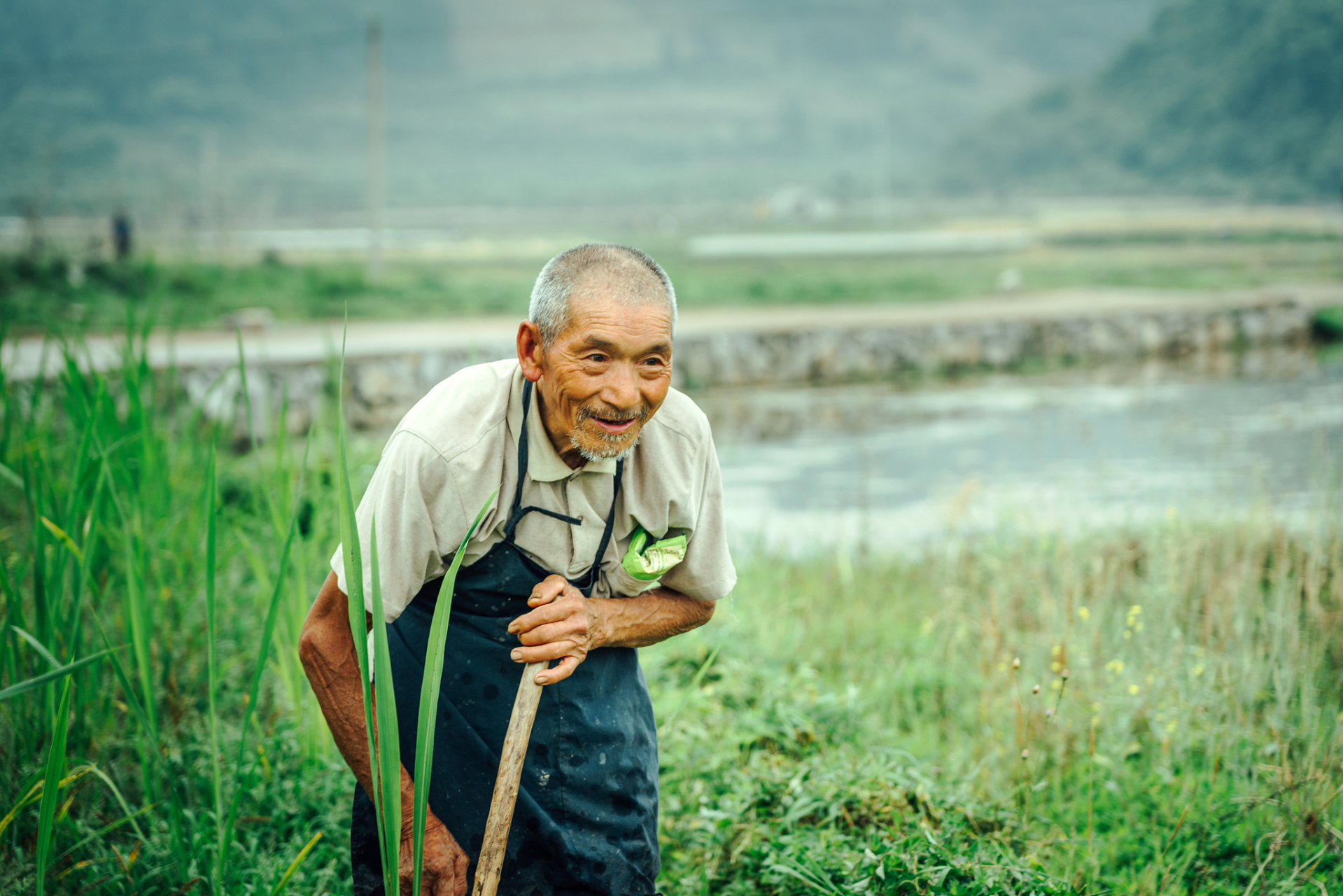岂料10年后,老农震惊的发现,他老婆的身份不简单!