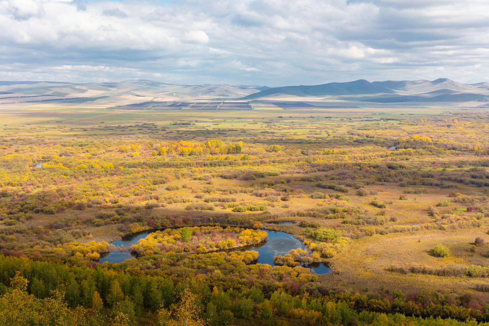 99额尔古纳湿地是内蒙古最大的湿地自然保护区,也是我国著名的鸟类