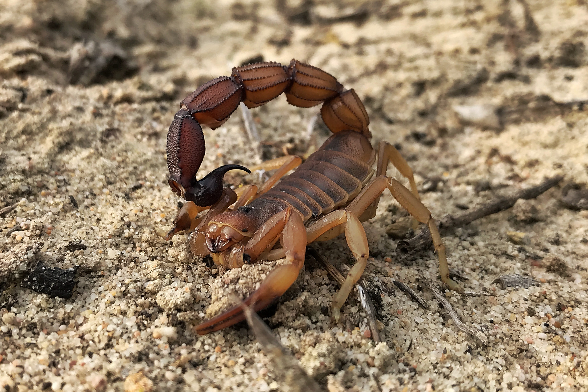 小心翼骋与其共处之道至关重要哦～