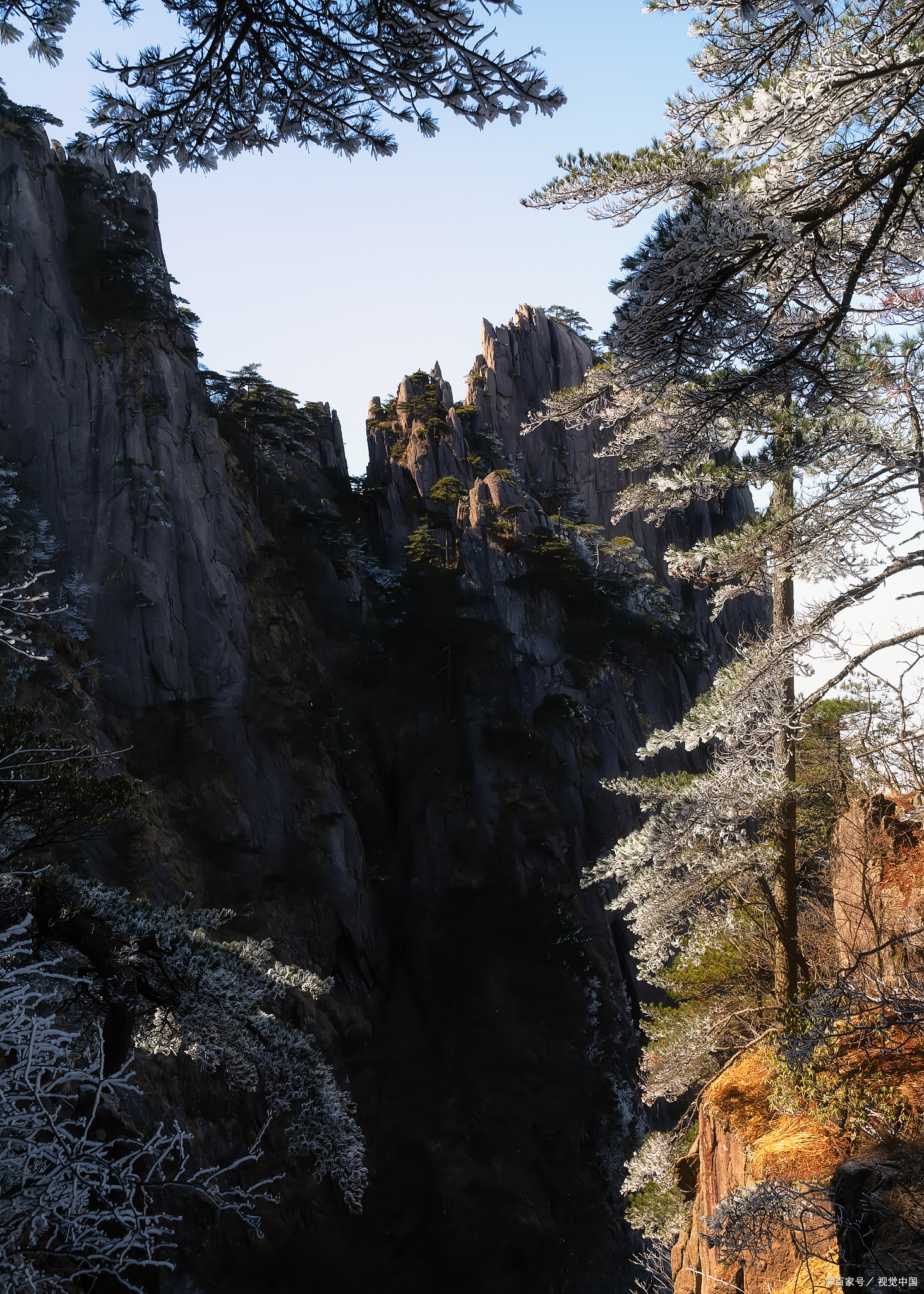 黄山照片大全图片图片