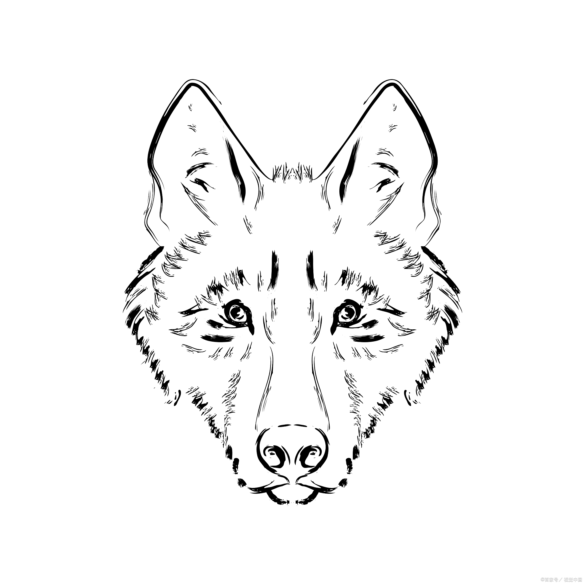 如何轻松绘制狼的简笔画:一步步教你掌握这项艺术技能
