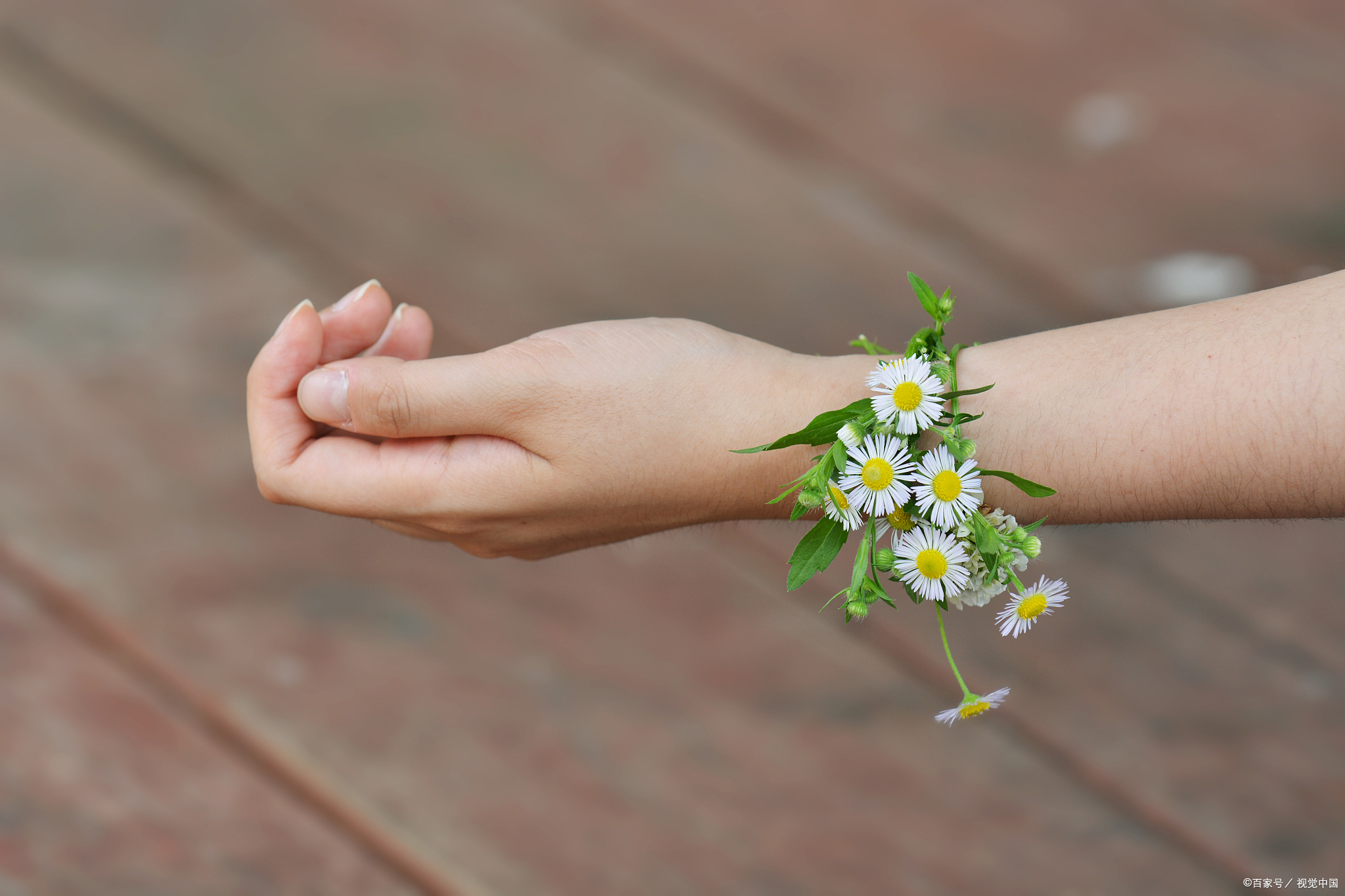 图片痛苦崩溃伤心欲绝图片手捧流沙落花图片真人一只手拿野花图片