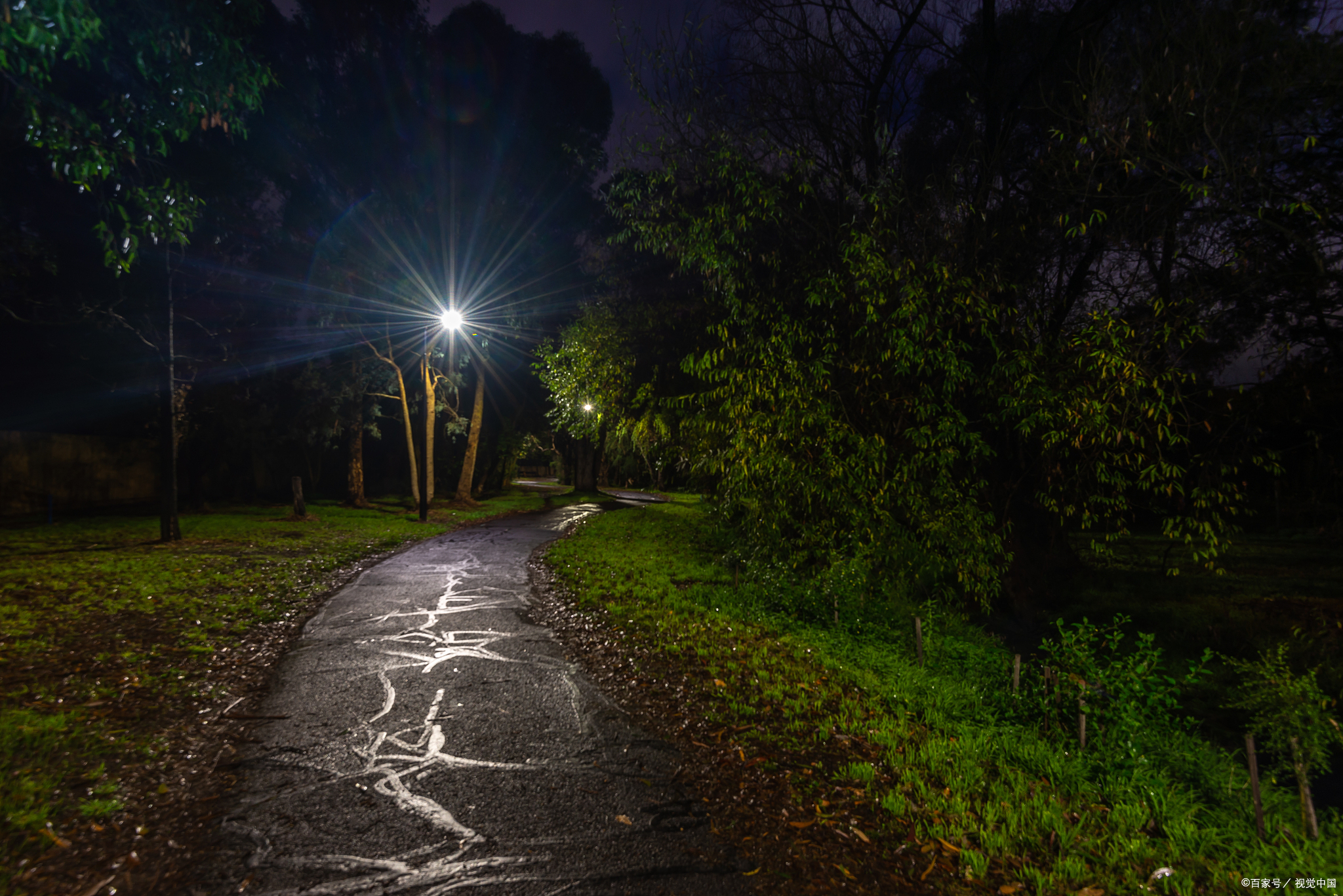 宁静的夜晚,风儿轻轻地滑过小路,月光也极尽温柔的