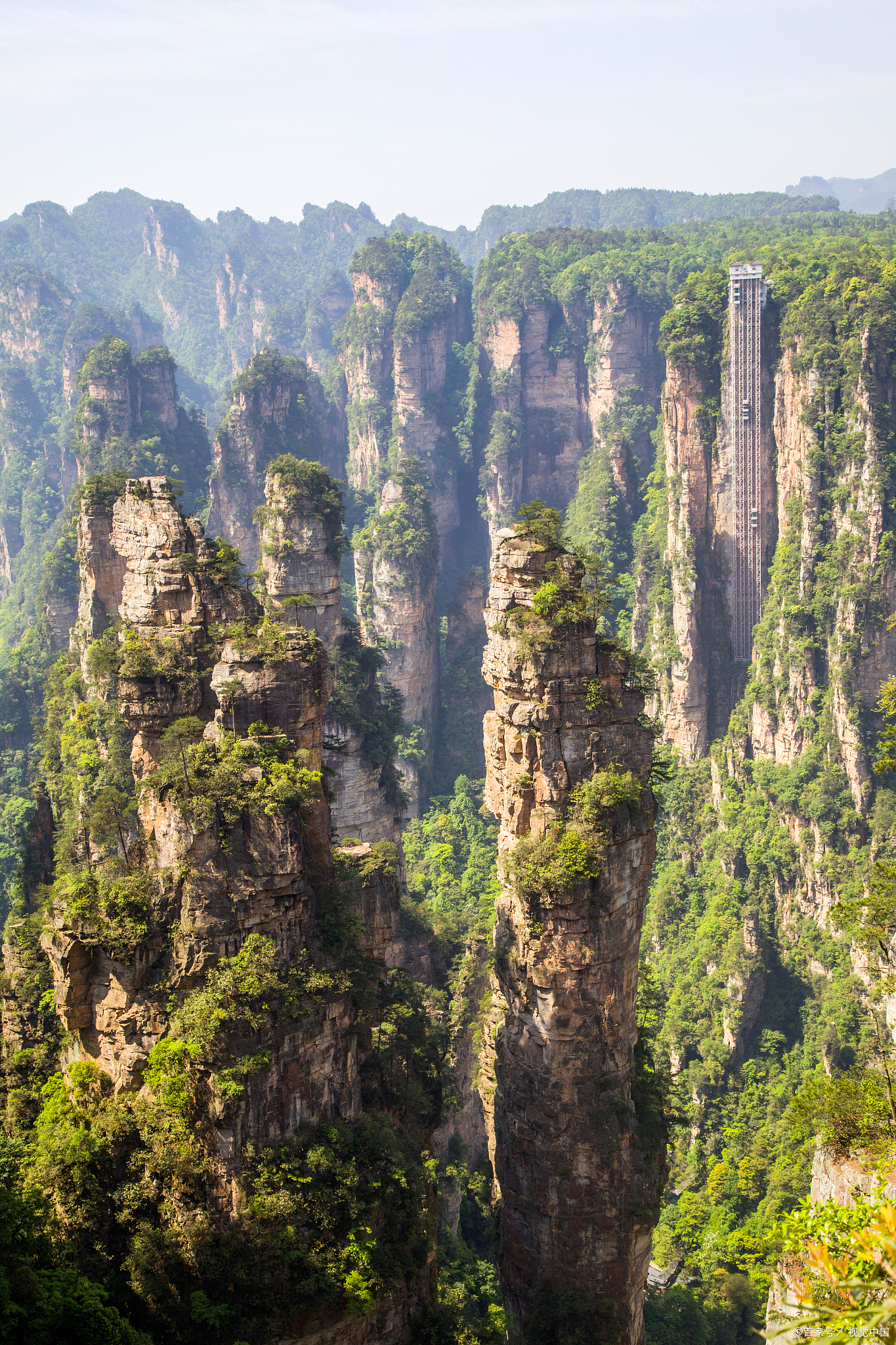 张家界杨家界景区图片