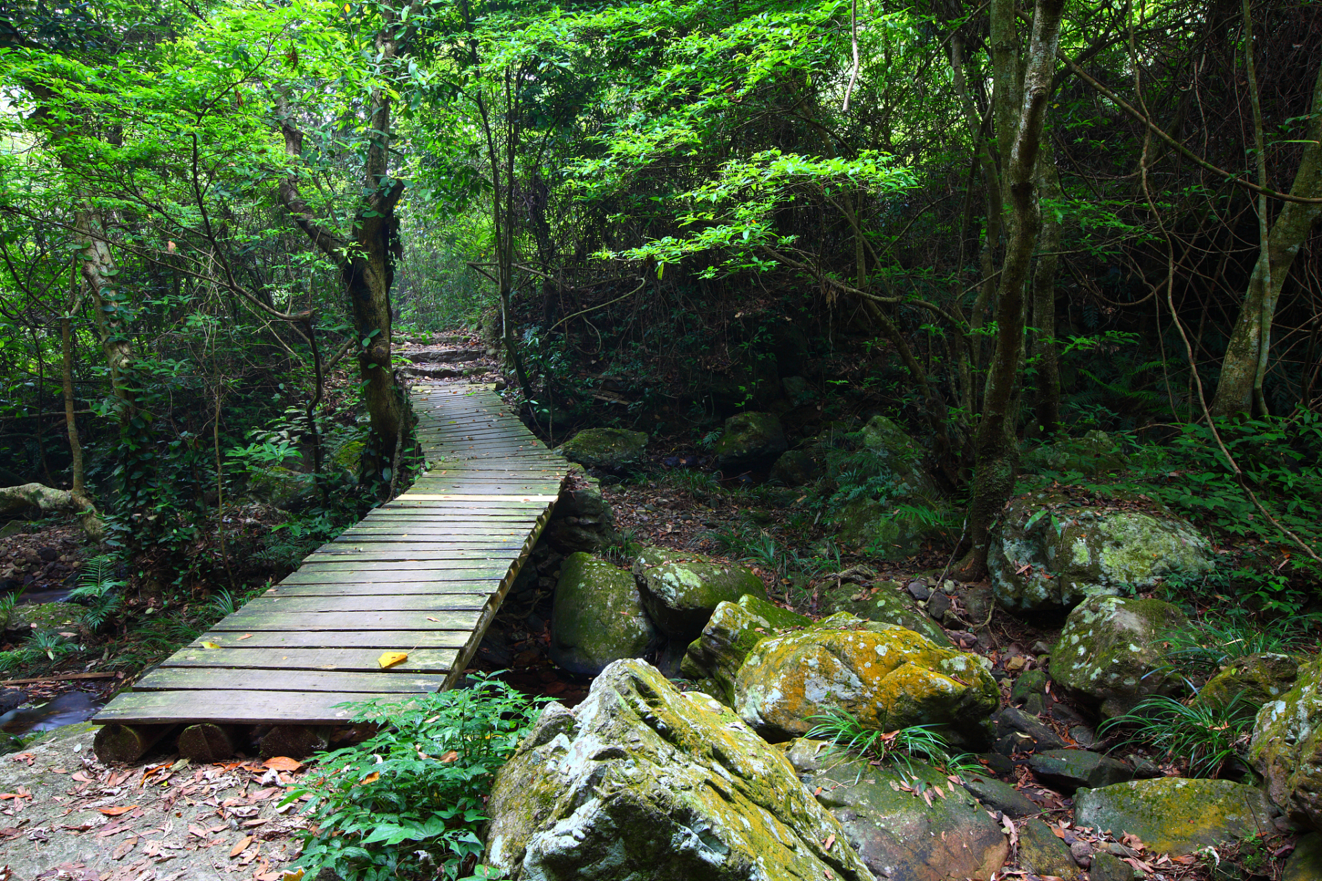 南昆山国家森林公园,地理位置绝佳.