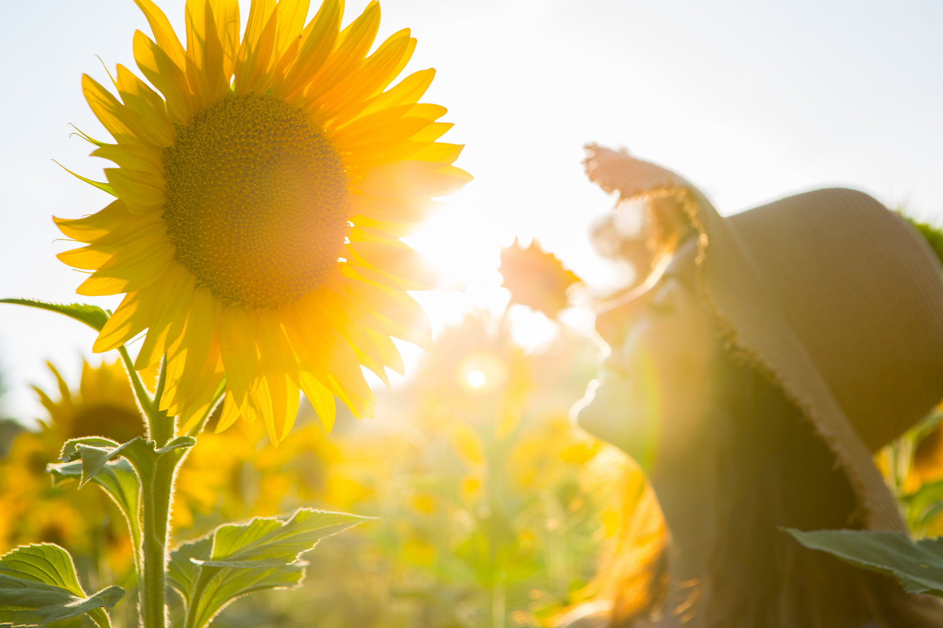 920395  在人生的旅途中,我们会遇到很多人