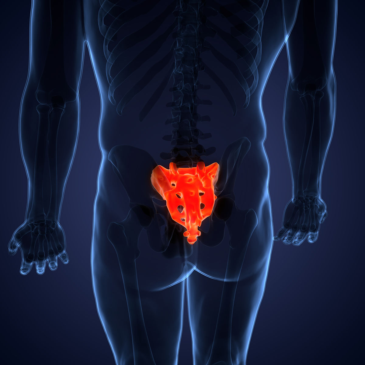 尾椎:守护我们的秘密力量