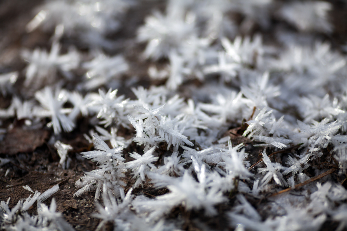 那其实,就是霜降临啦!  霜是怎么来的呢?其实原理很简单哦!