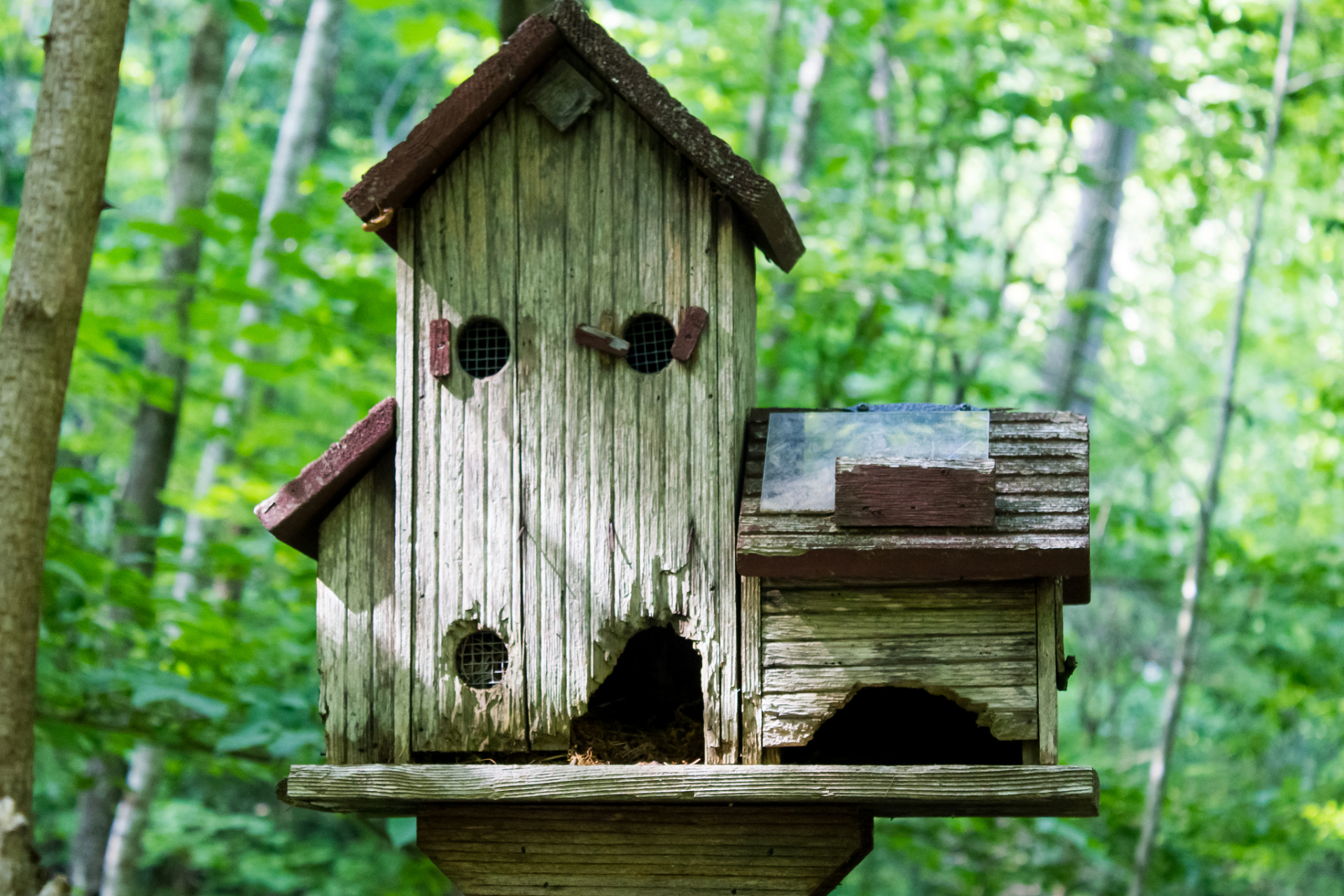 "人住麻雀屋,辈辈出栋梁"是激励人们不畏艰难困苦