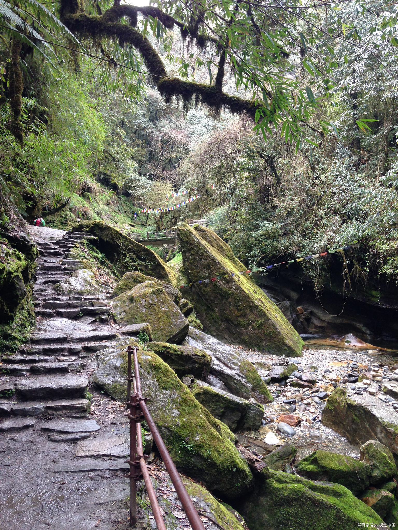 地址:重庆市北碚区东阳街道大沱口社区,导航"张飞古道入口"