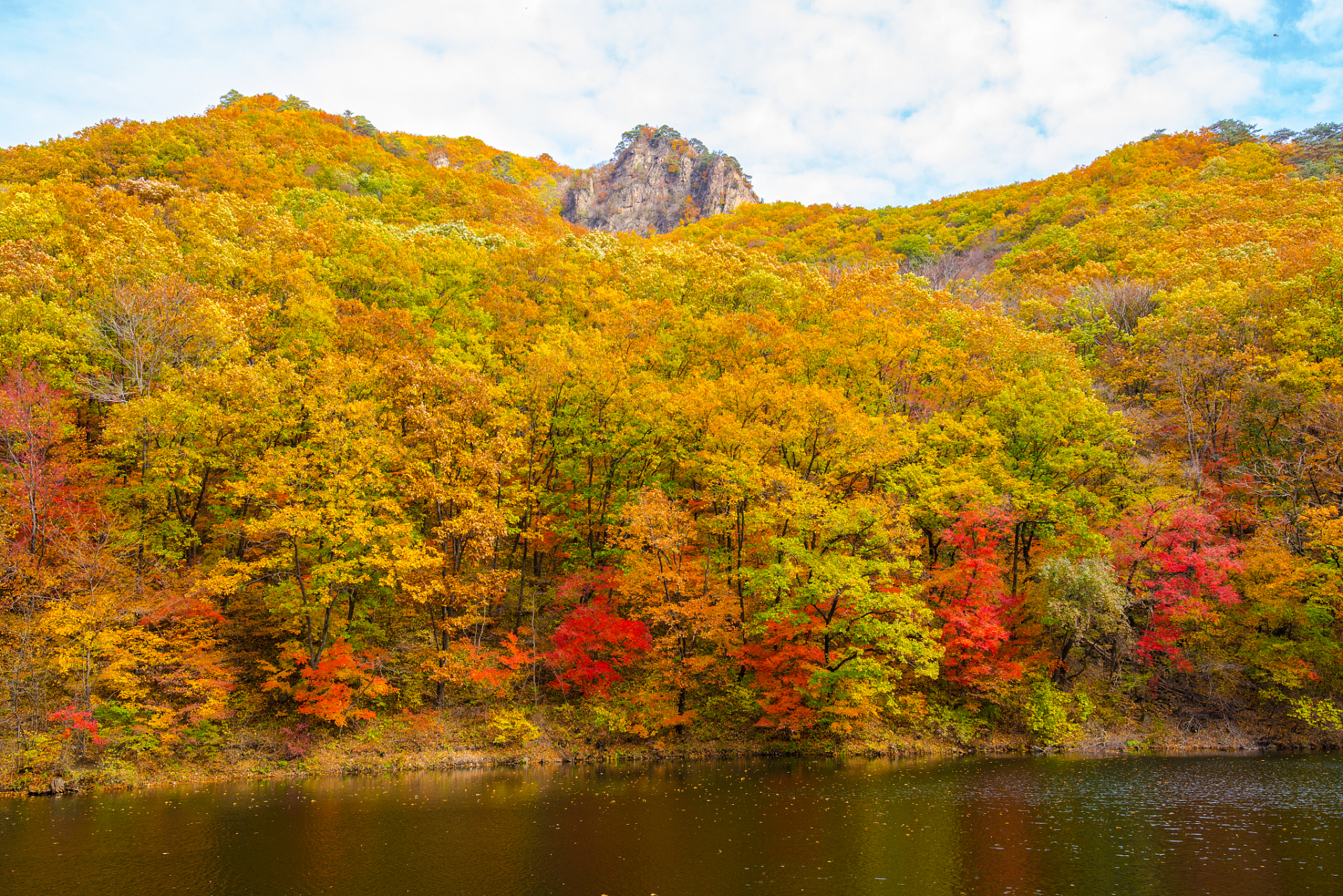 山水秋韵,重庆秋天的迷人景色 是的,重庆的秋天确实有着迷人的景色.
