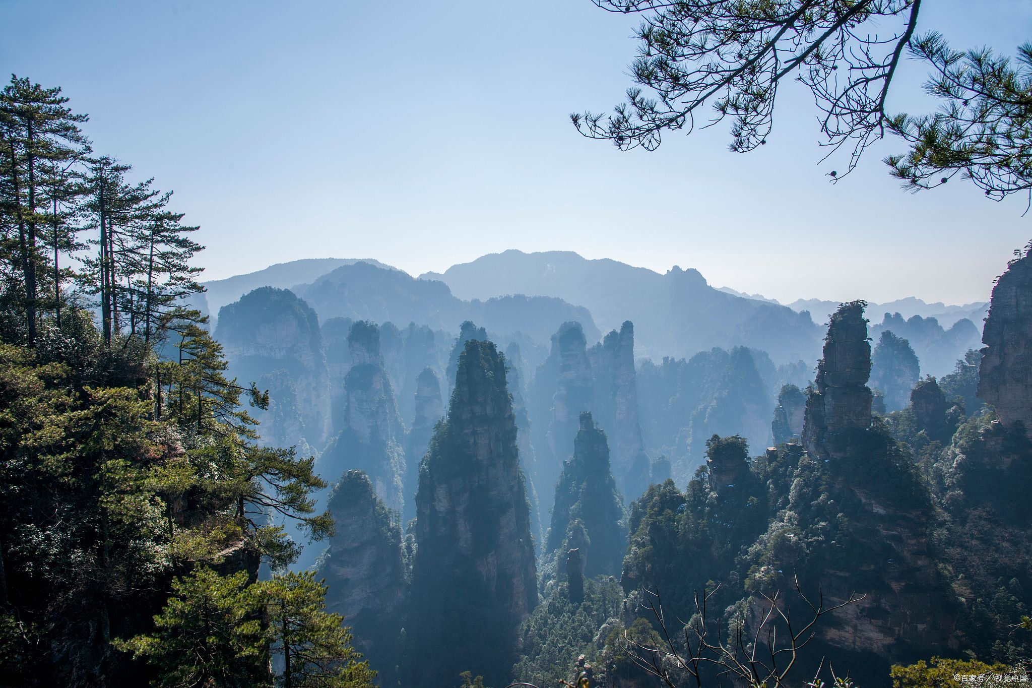 春天的张家界图片