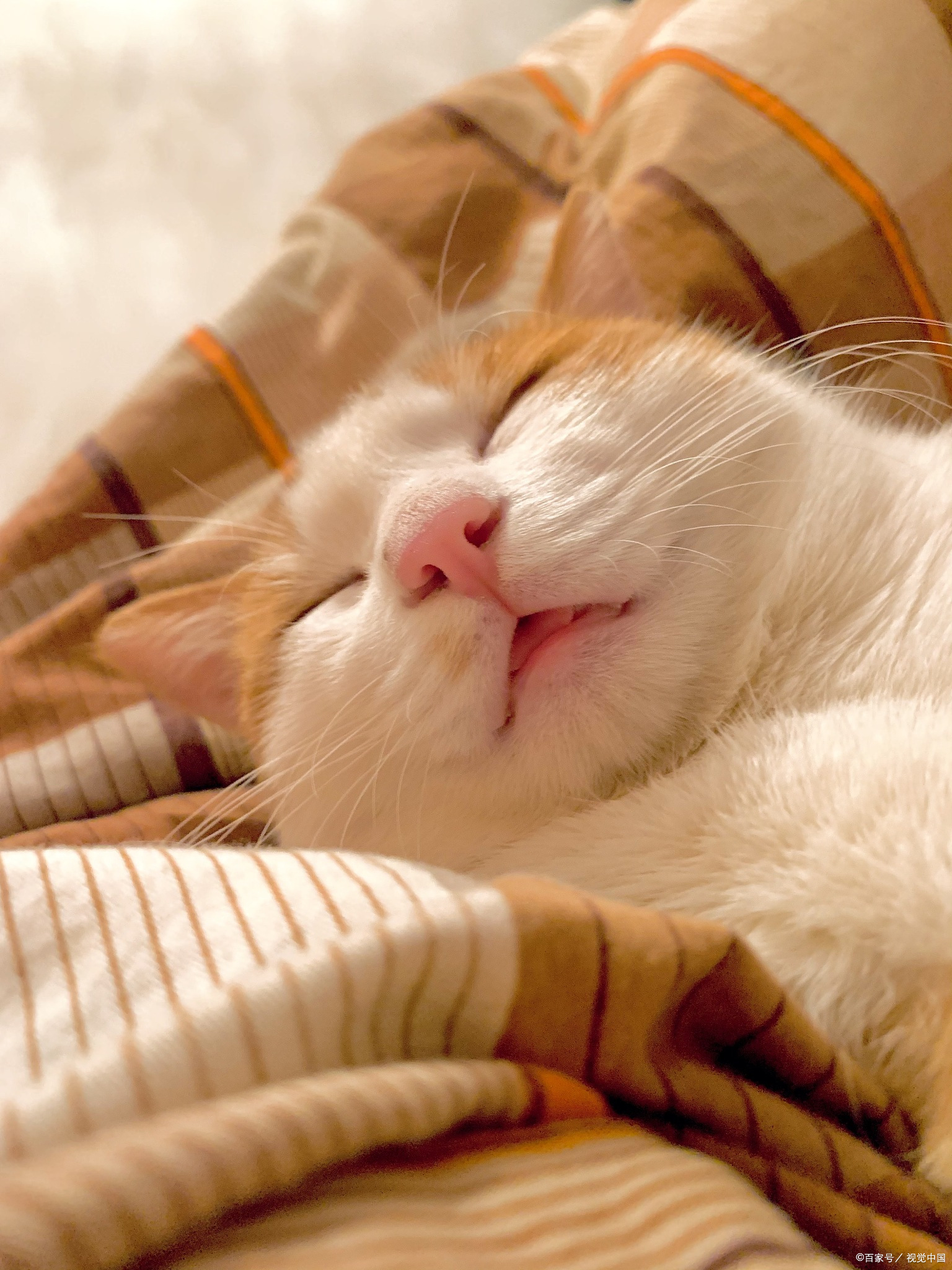 春天是肝气主导的季节,肝气旺盛,肝胜脾,脾失运化,水湿内停