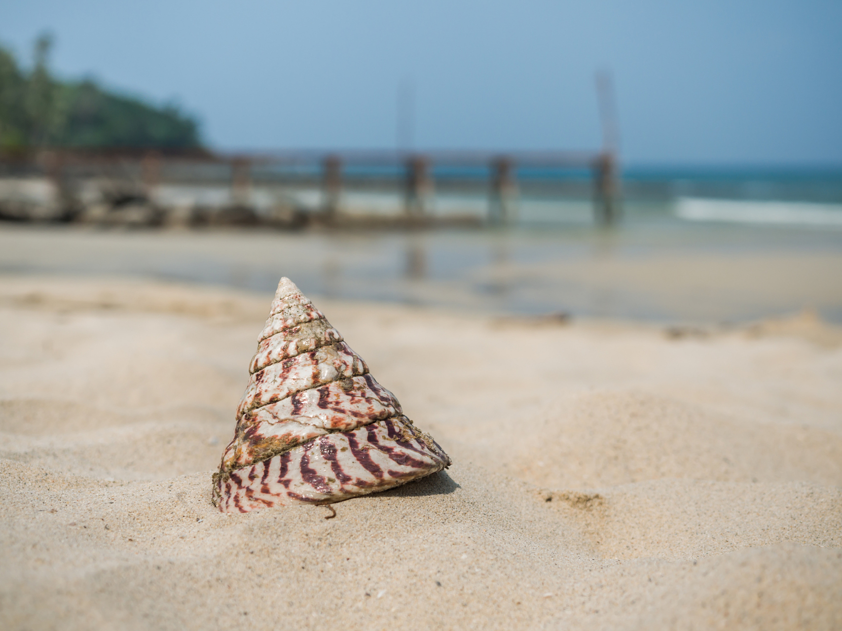 嬉行记# 在北海市的一角,有一片闻名遐迩的沙滩,名曰贝壳沙滩-瘸鲻