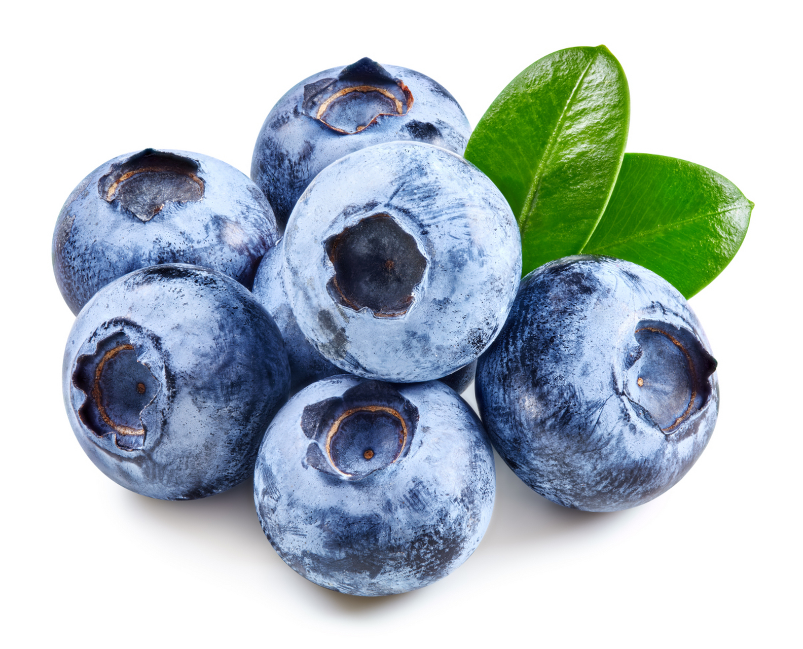 北美蓝莓以美国和加拿大为主要产区,果实大,口感鲜美;欧洲蓝莓则主要