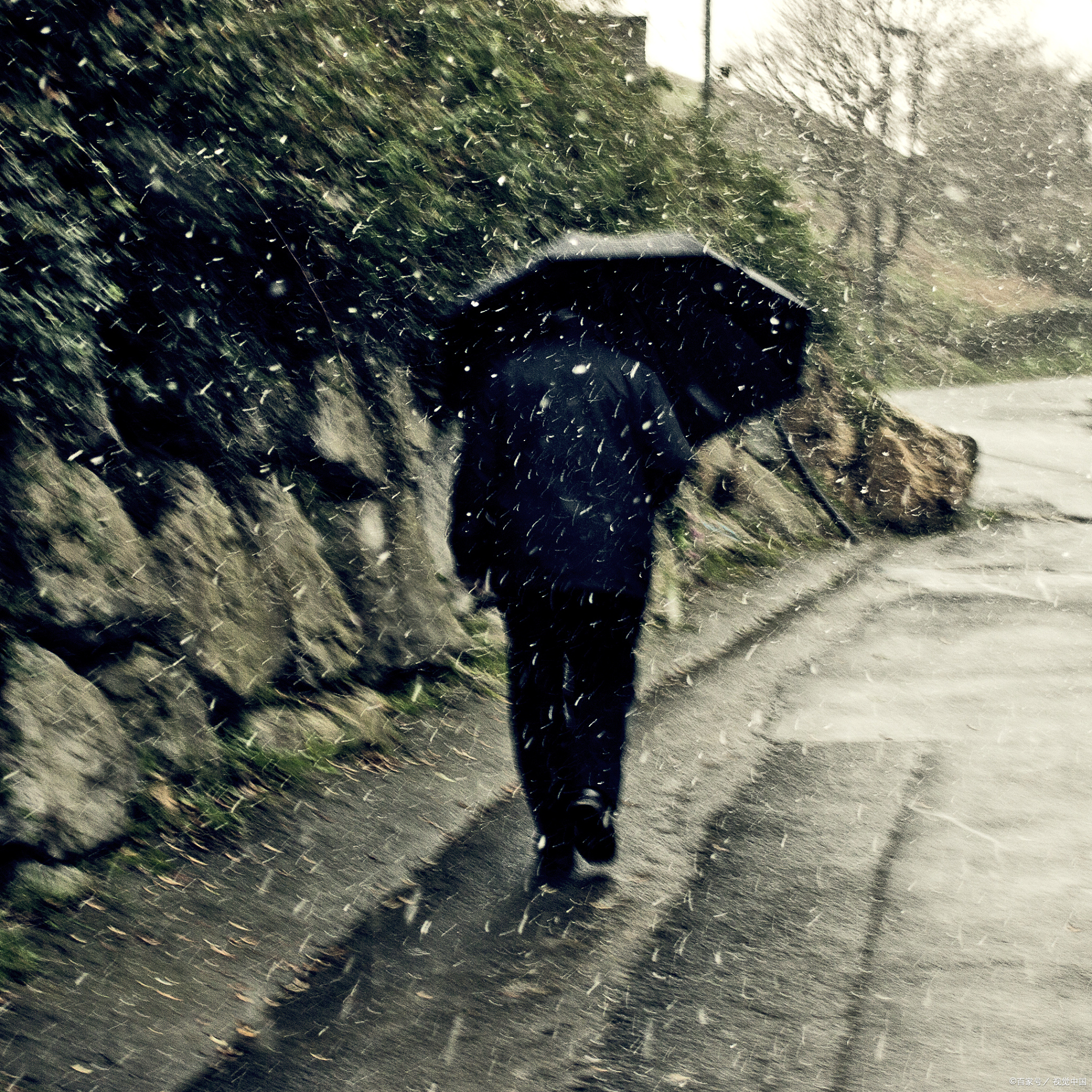 雨天的父亲