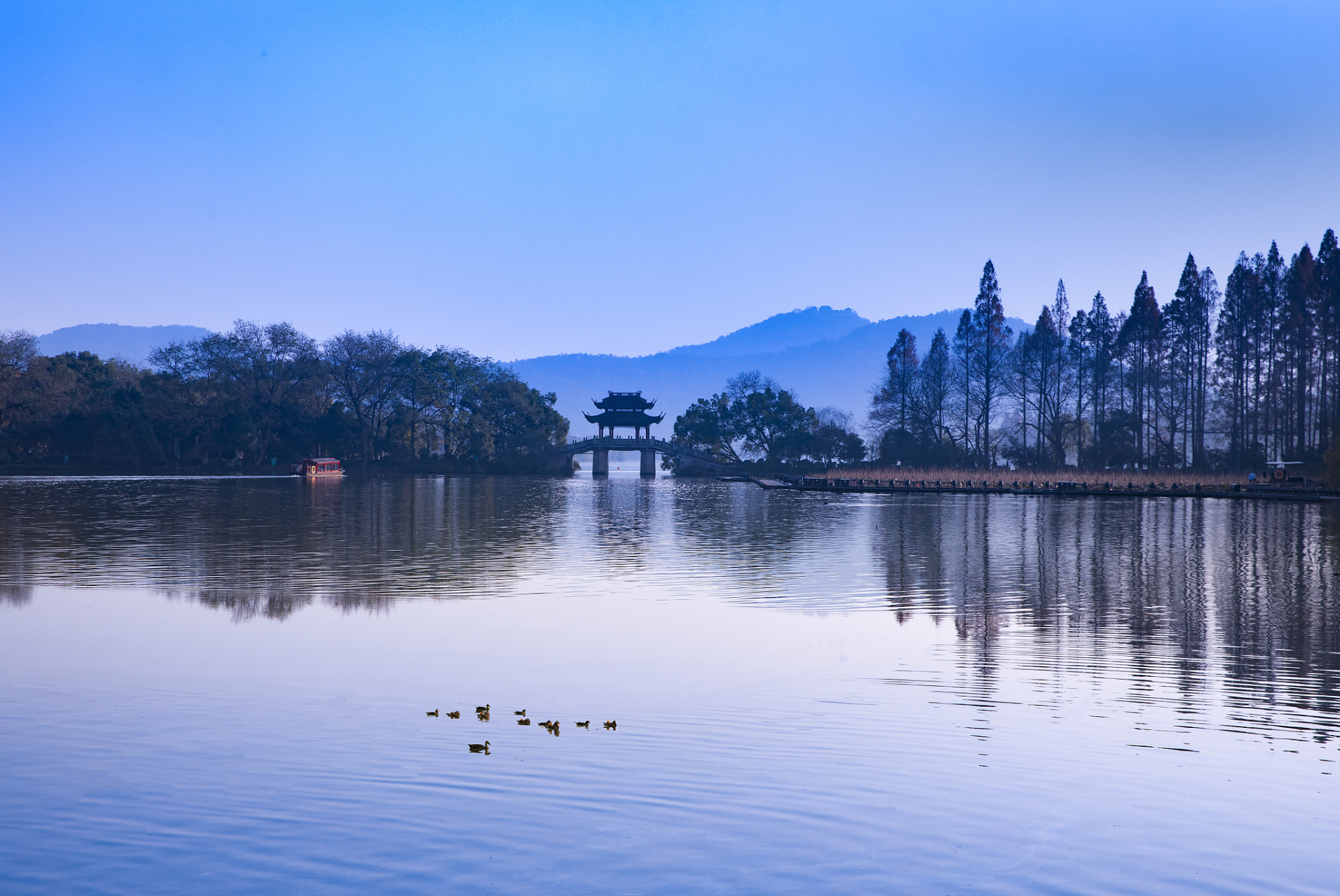 ai亚来杭州# 来到西湖,我感受到了生命的力量和成长的韵味.