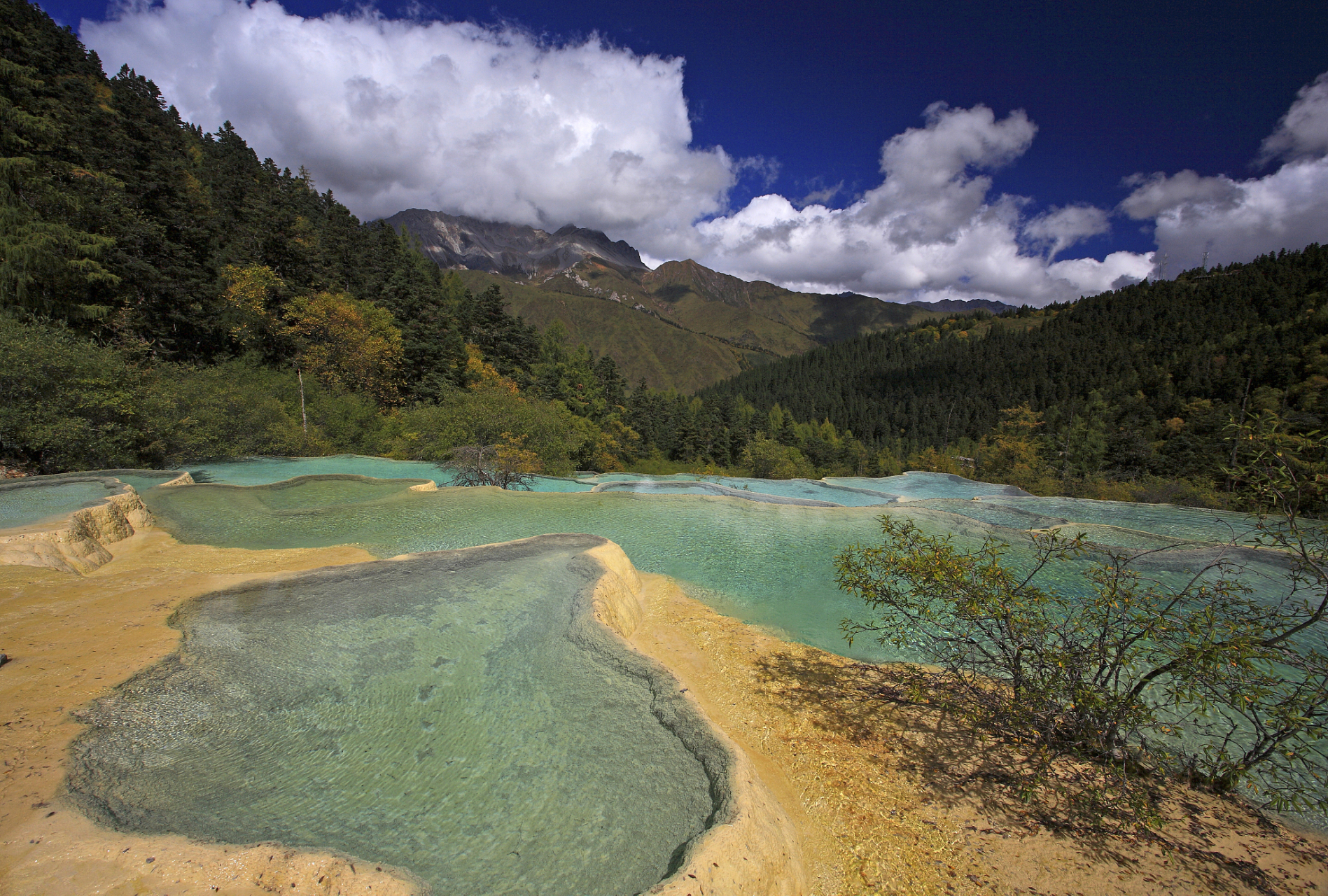 构造上它处在扬子准台地,松潘一甘孜褶皱系与秦岭地槽招皱系三个大地