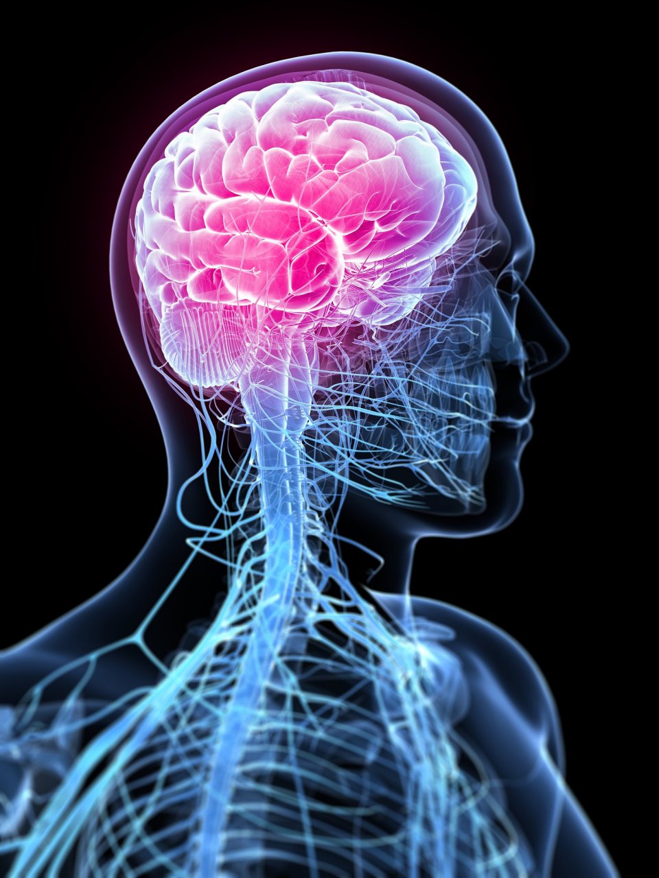 神经科学是一个跨学科的学科,涉及生物学,心理学,神经科学等多个领域.