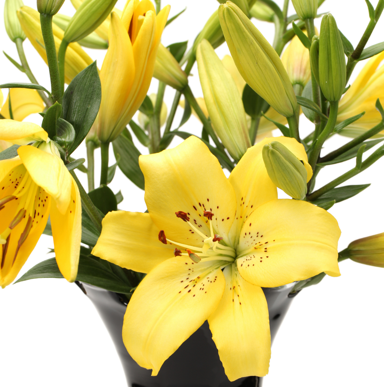 [原文:黄百合花的花语和寓意]