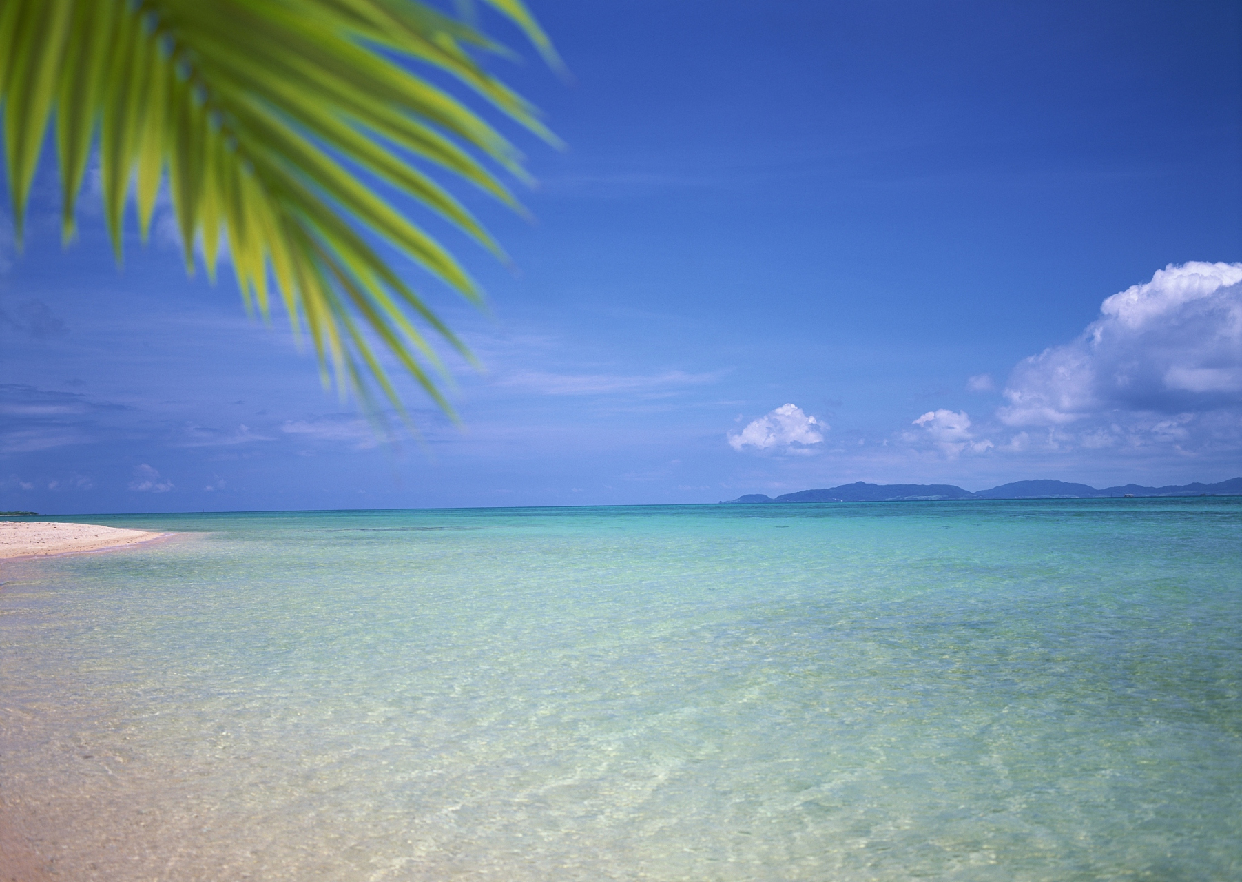 子适卫,冉有仆,子曰:"庶矣哉!"冉有曰:"既庶矣,又何加焉?"曰:"富之.