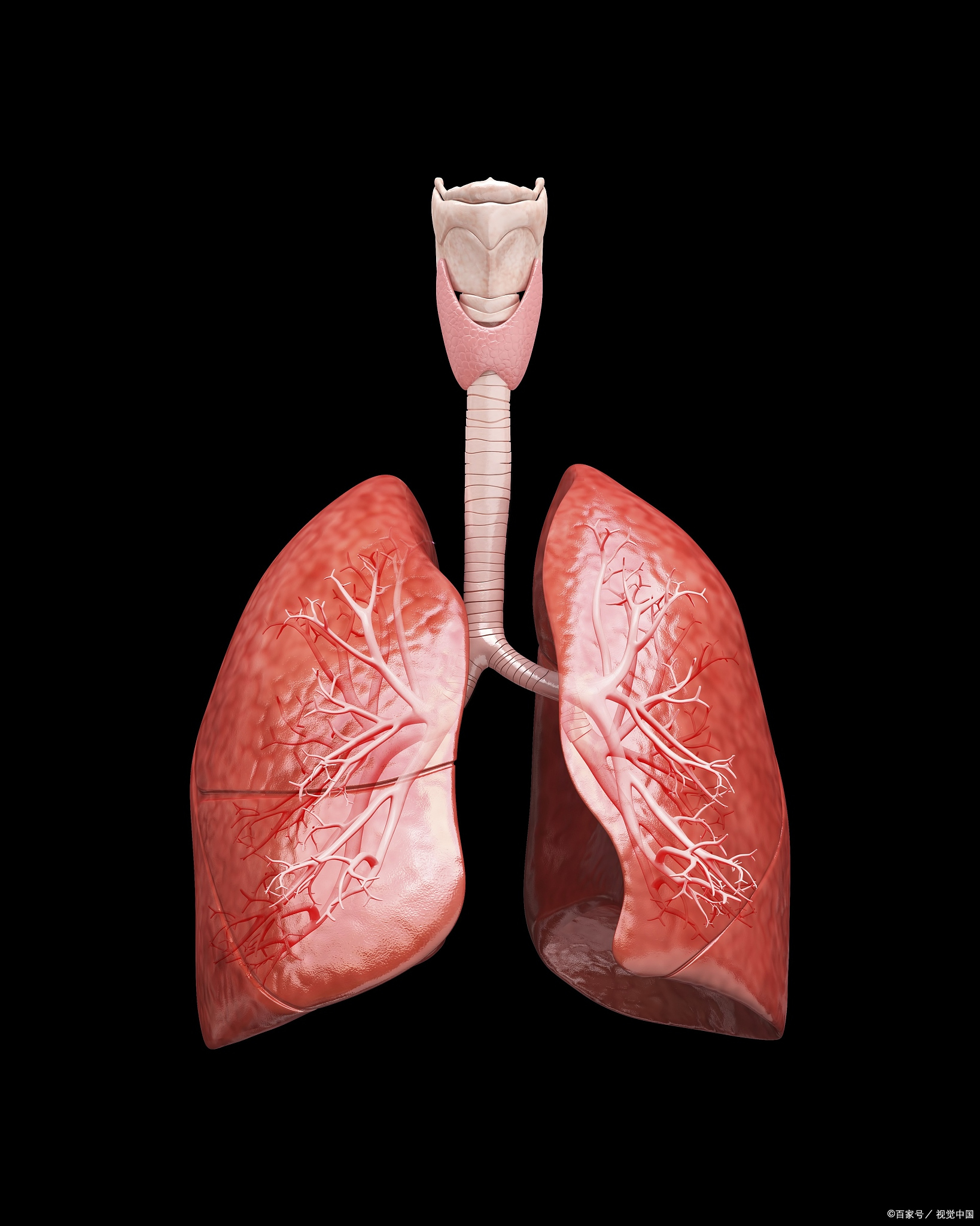 深入了解肺损伤:从原因到治疗的全面指南