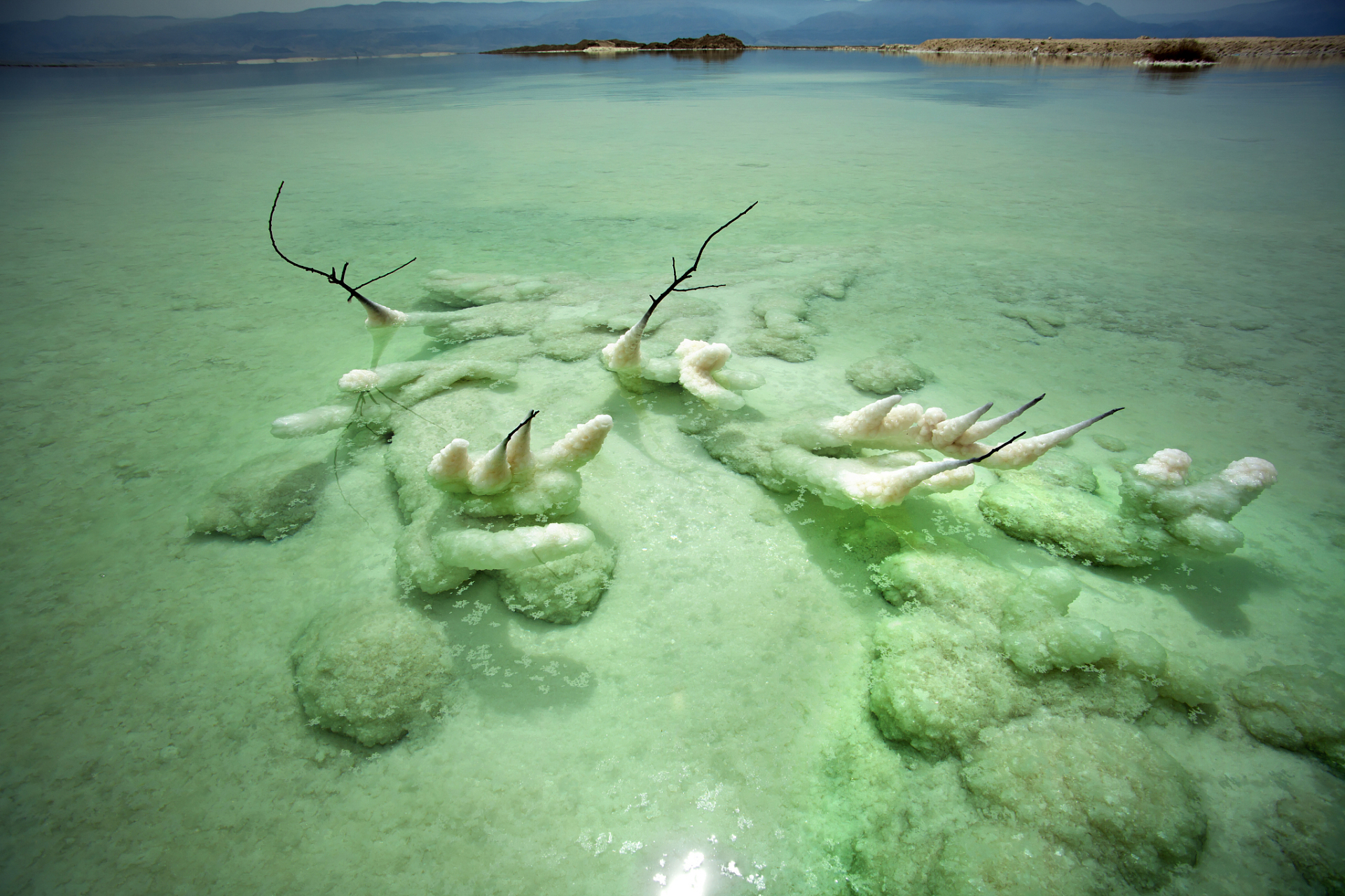 日本排放核废水#  核废水排放海洋会造成什么样的危害 核废水是从核
