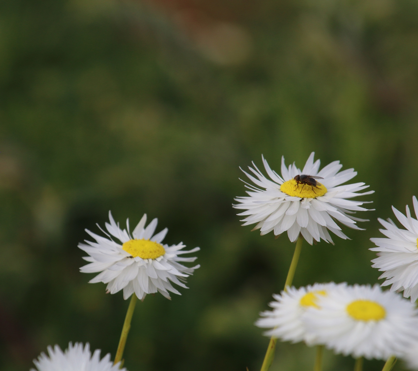 世上有善就有恶,有寒就有暖.做一个温暖的人,善待身边所有的人.
