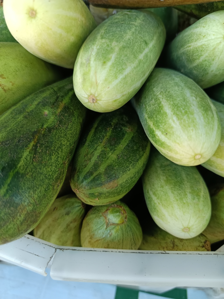 黄瓜为何叫黄瓜而非绿瓜?