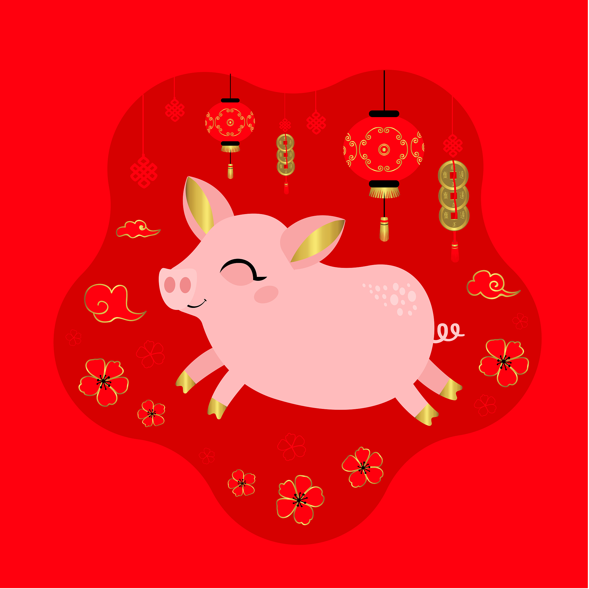 生肖猪今年运势2025年(生肖猪今年运势2025年运势如何)