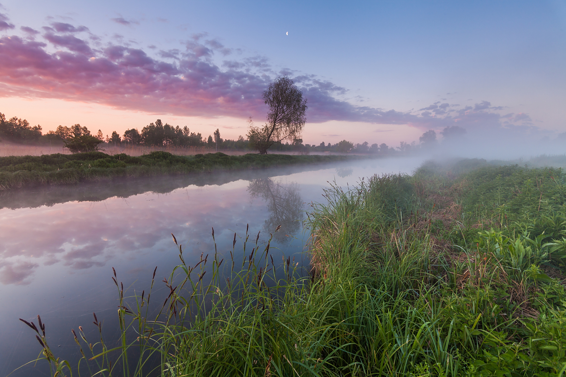 镜头里的春天# 在春日的晨曦中,西双版纳犹如一块未经雕琢的翡翠,而